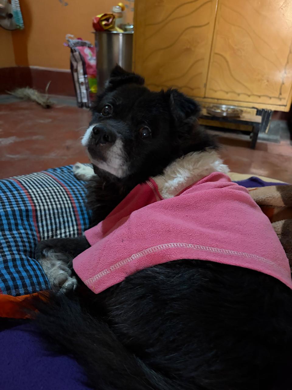 image-5