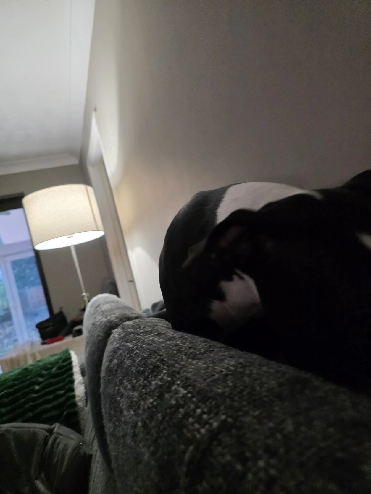 image-7