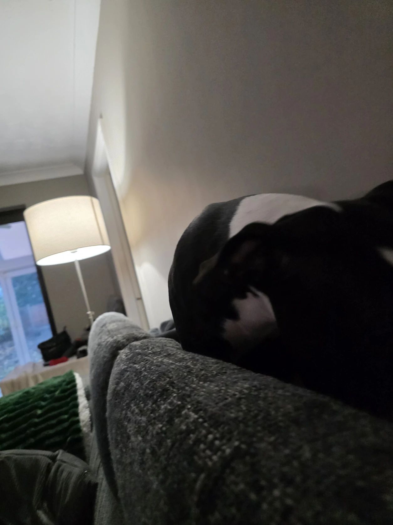 image-7