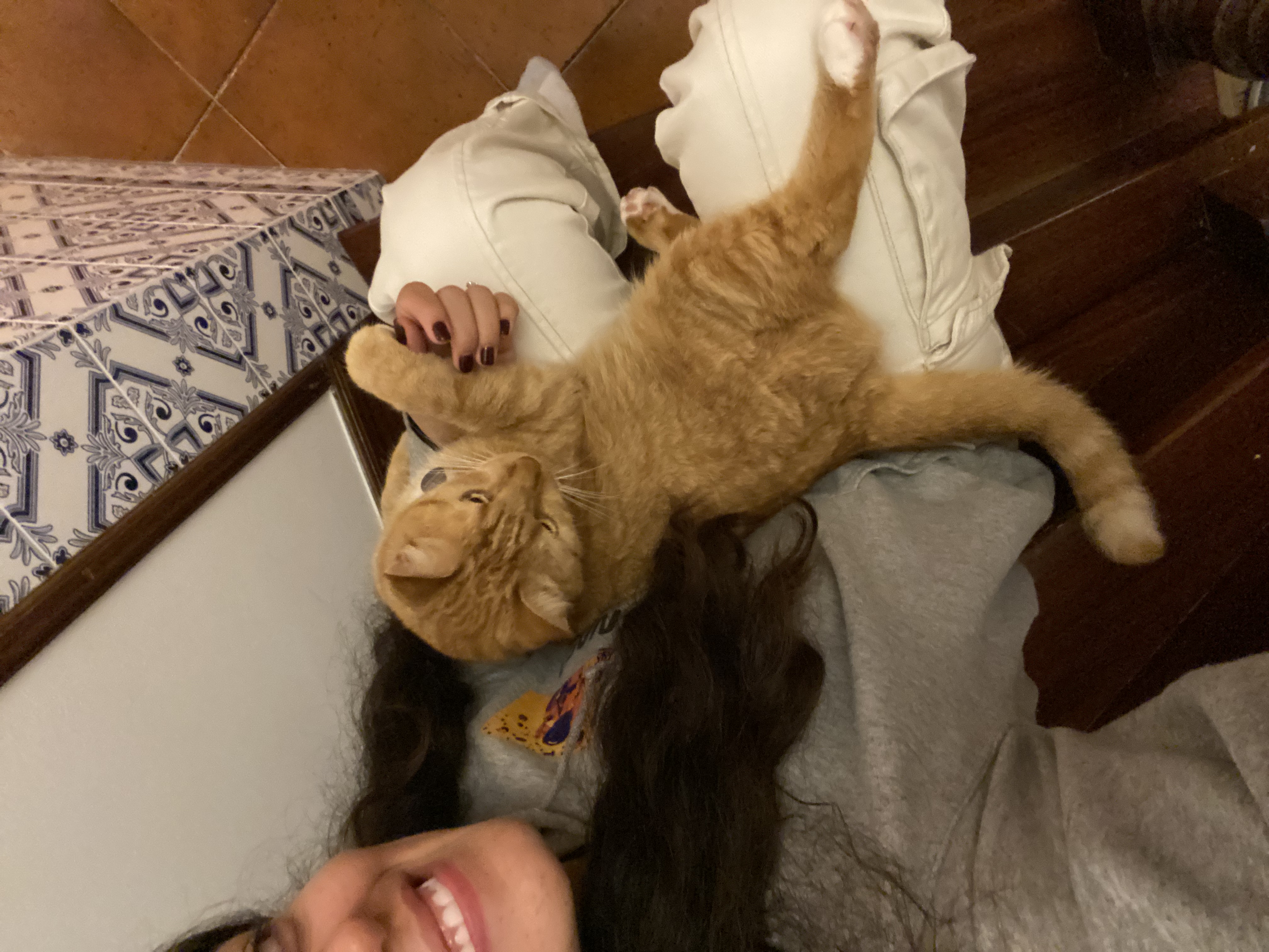 image-7