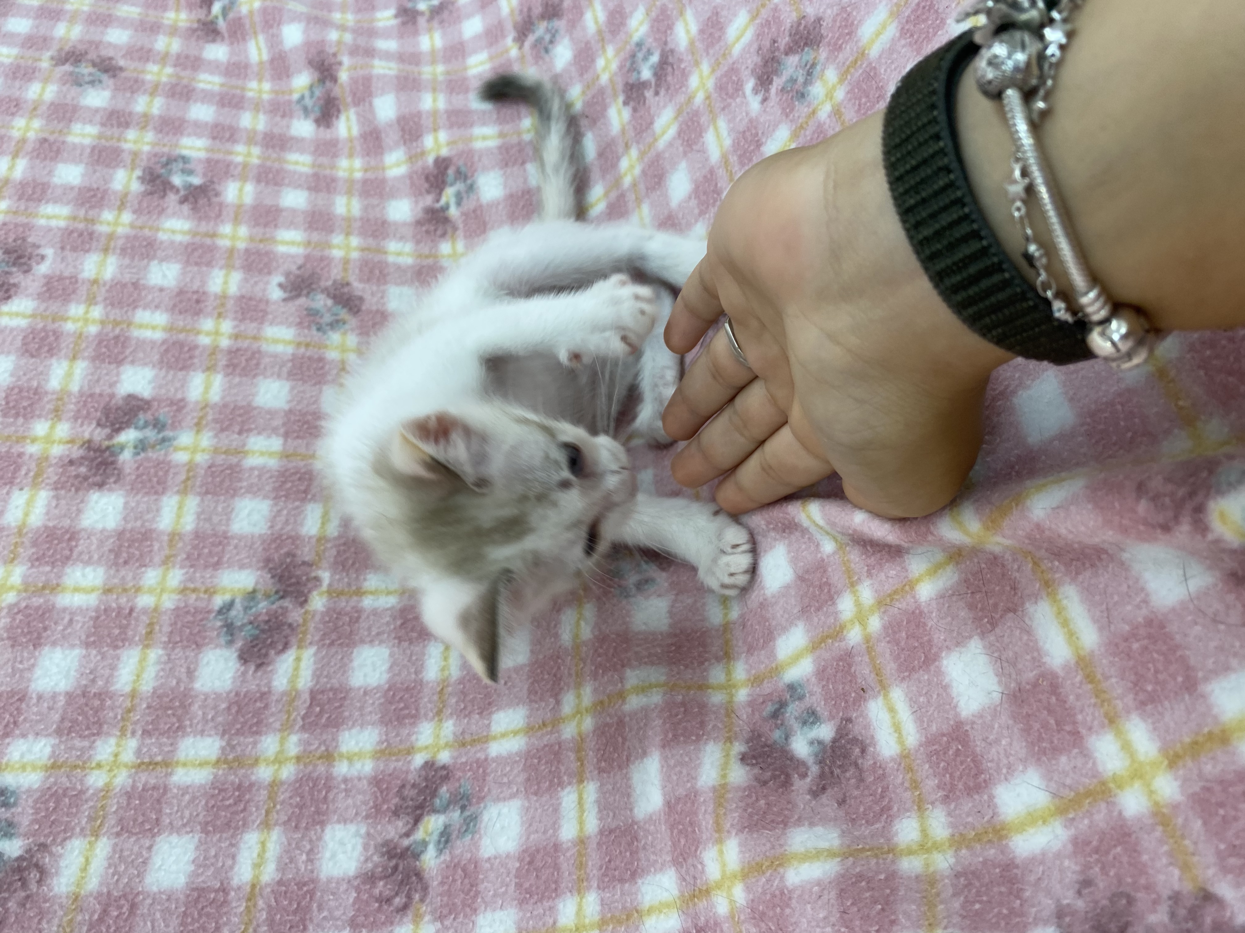 image-10