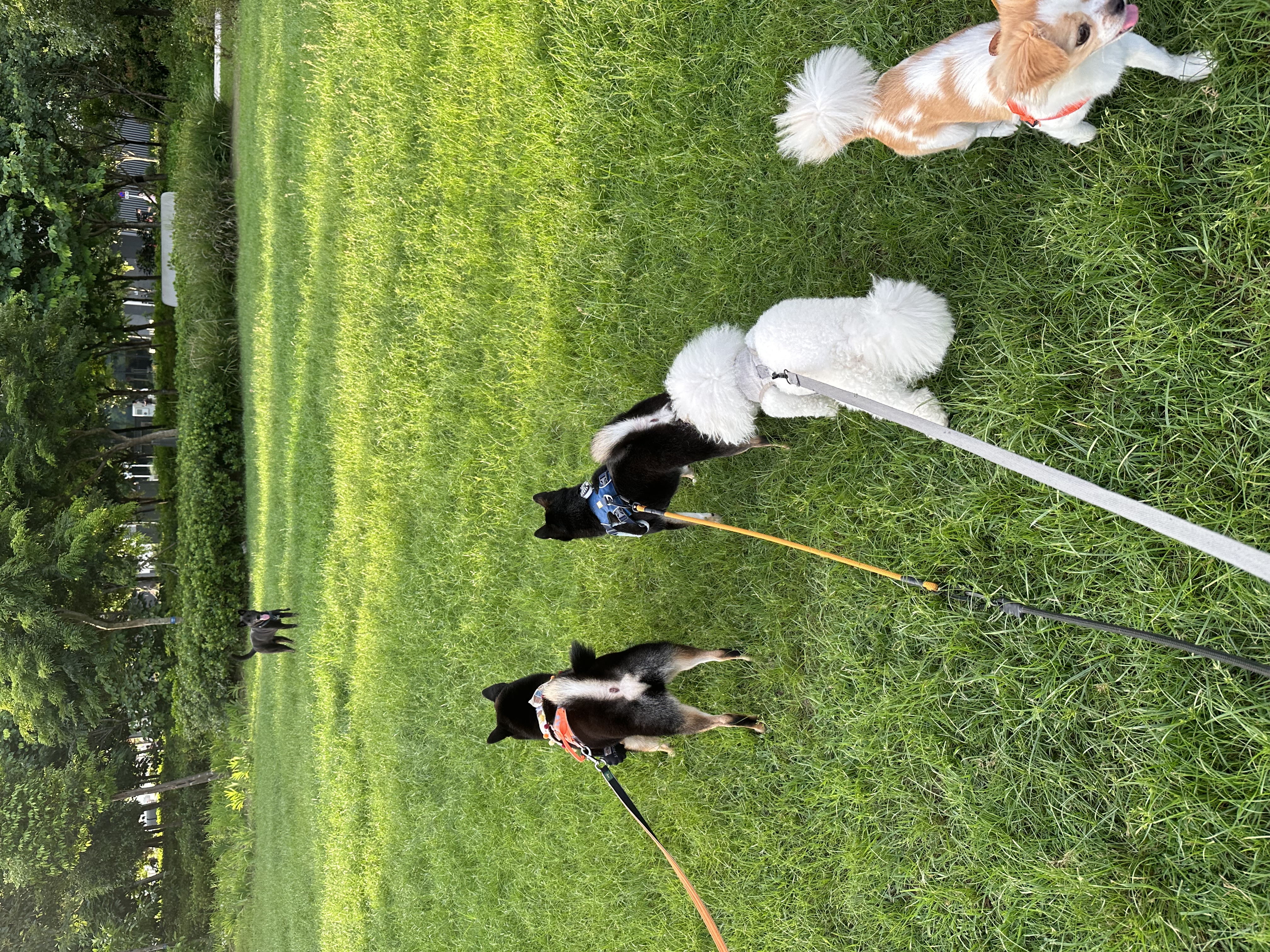 image-14