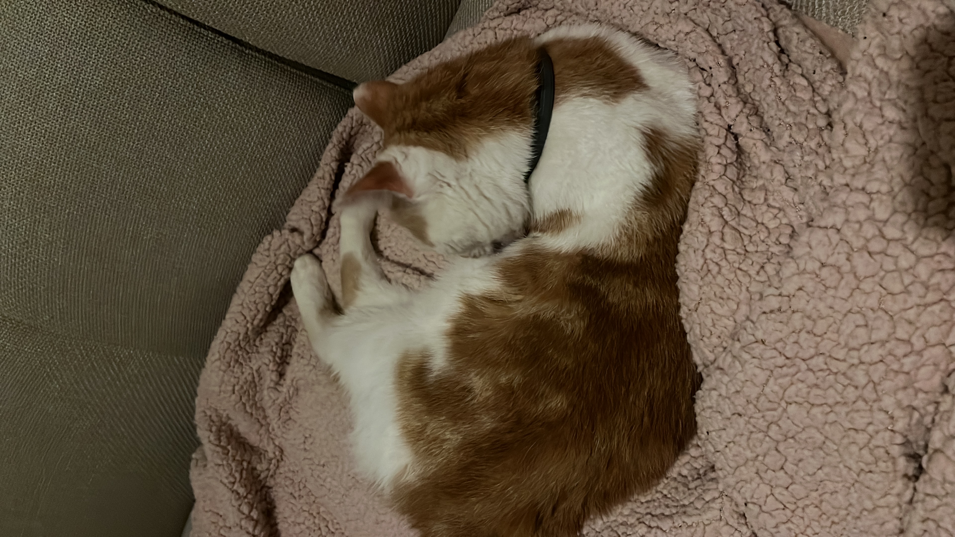 image-6