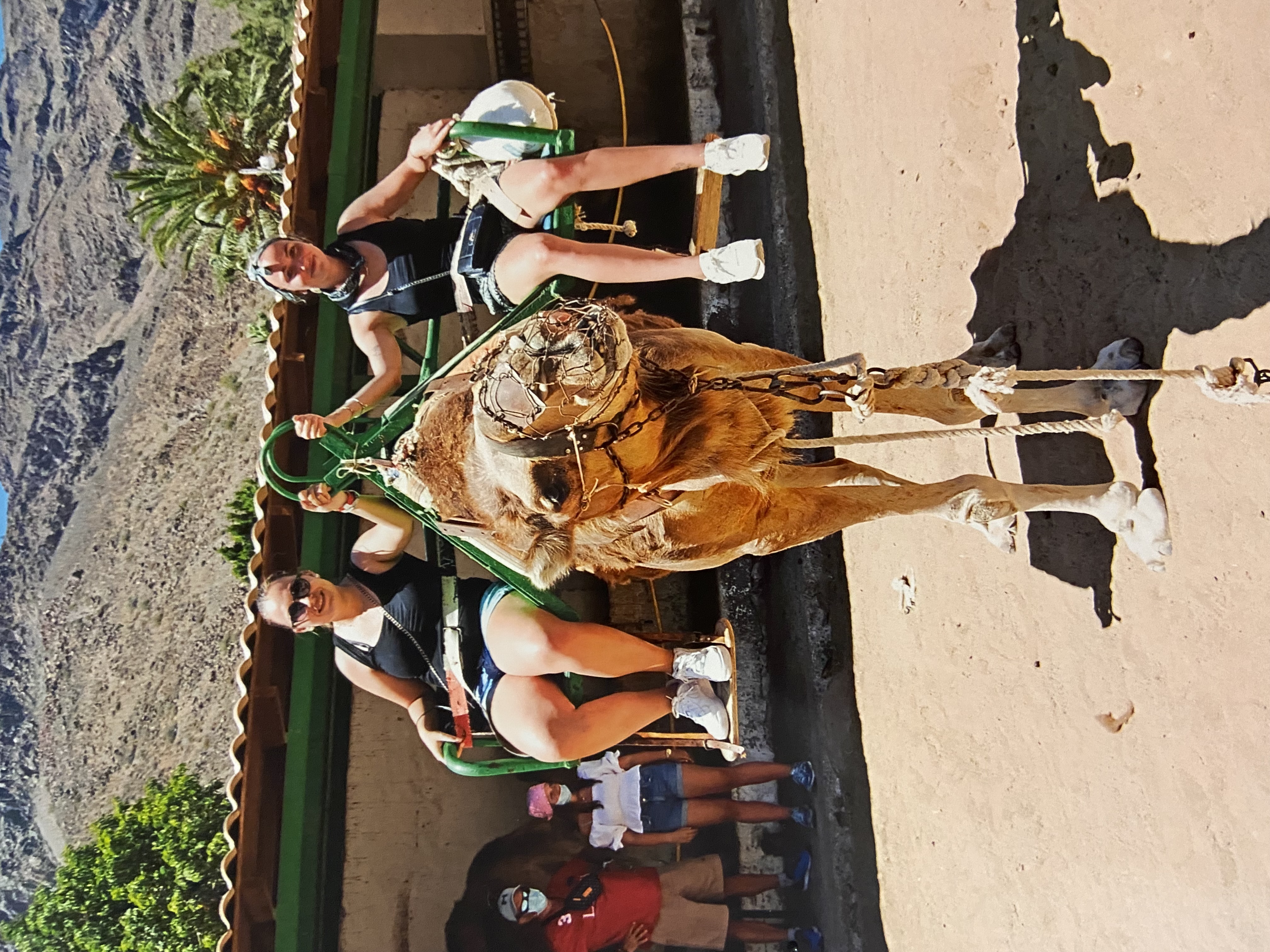 image-7