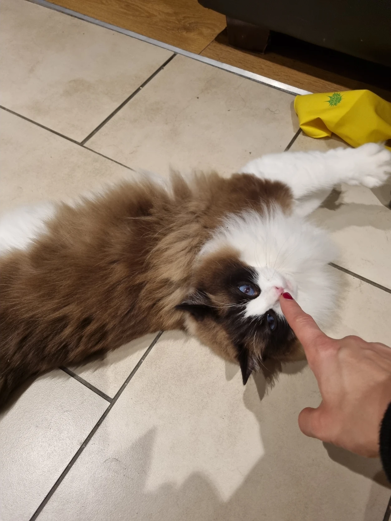 image-6