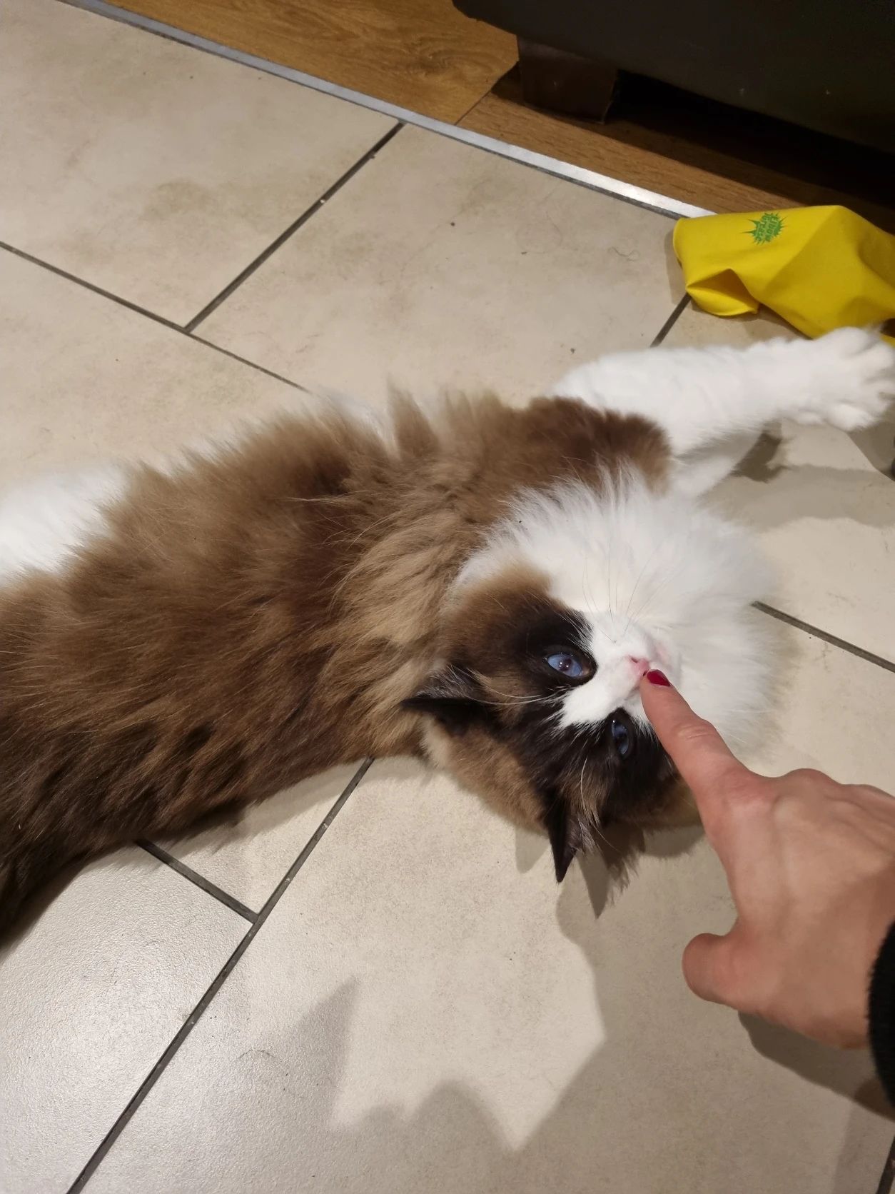 image-6
