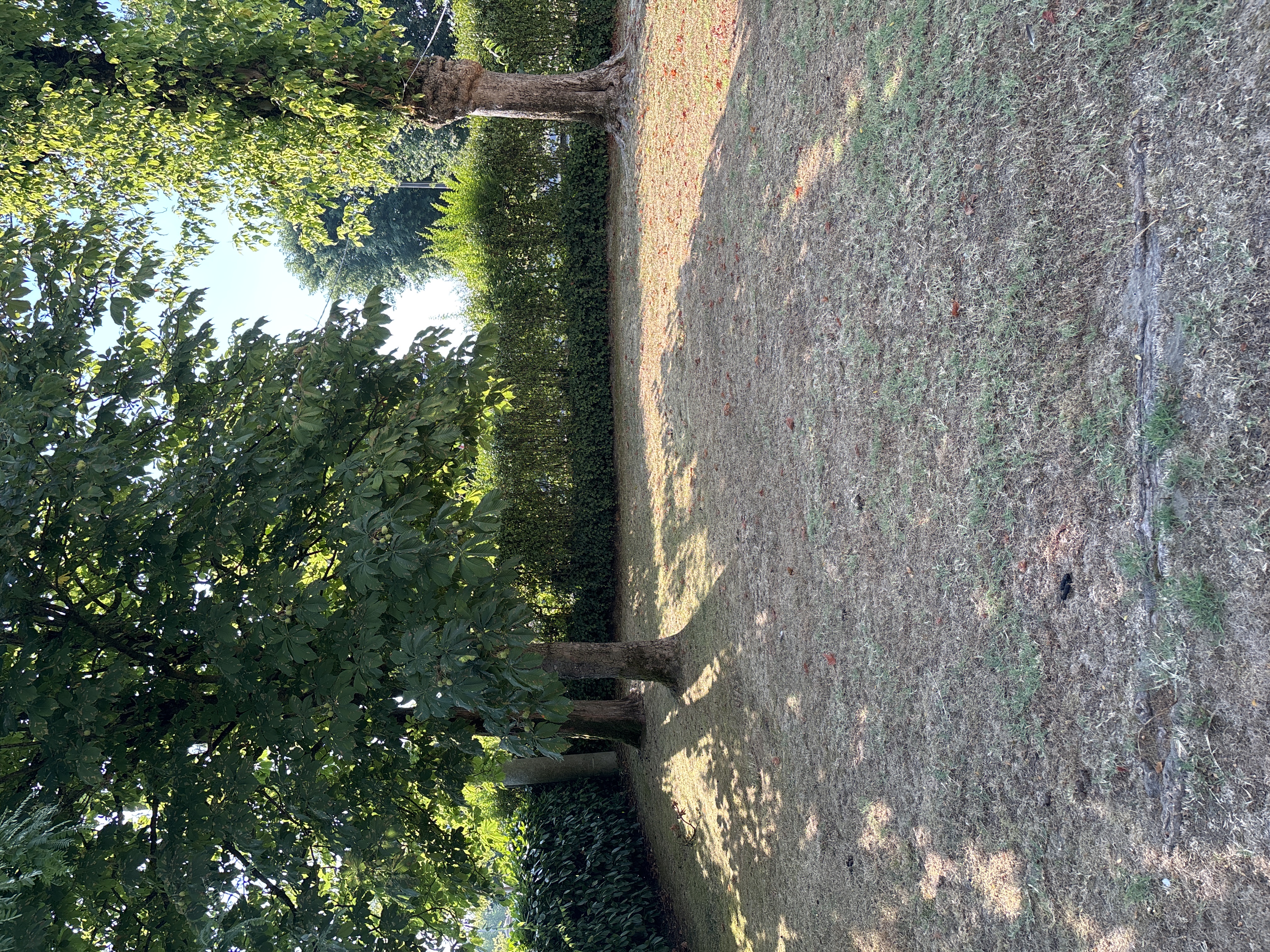 image-17