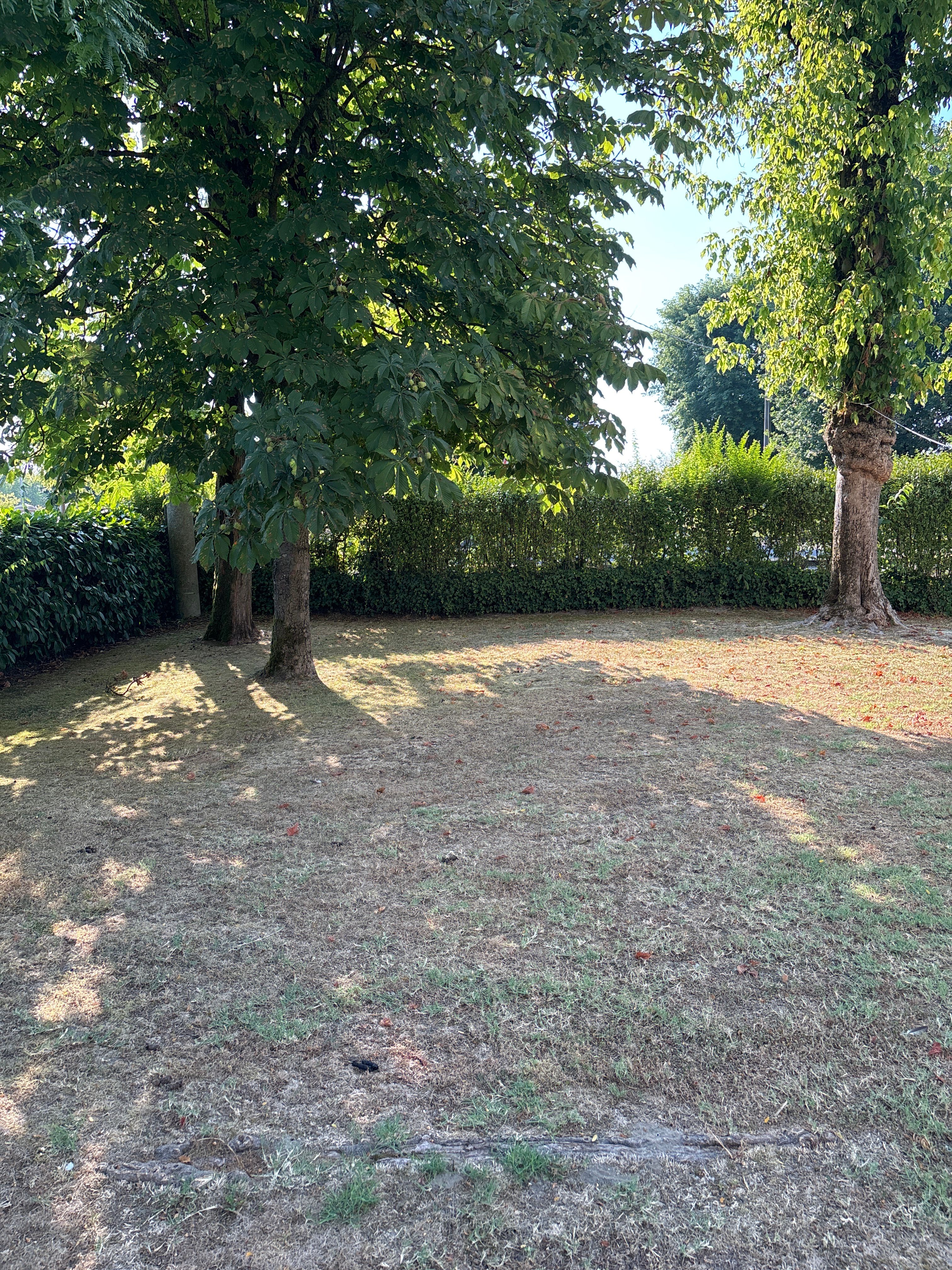 image-17
