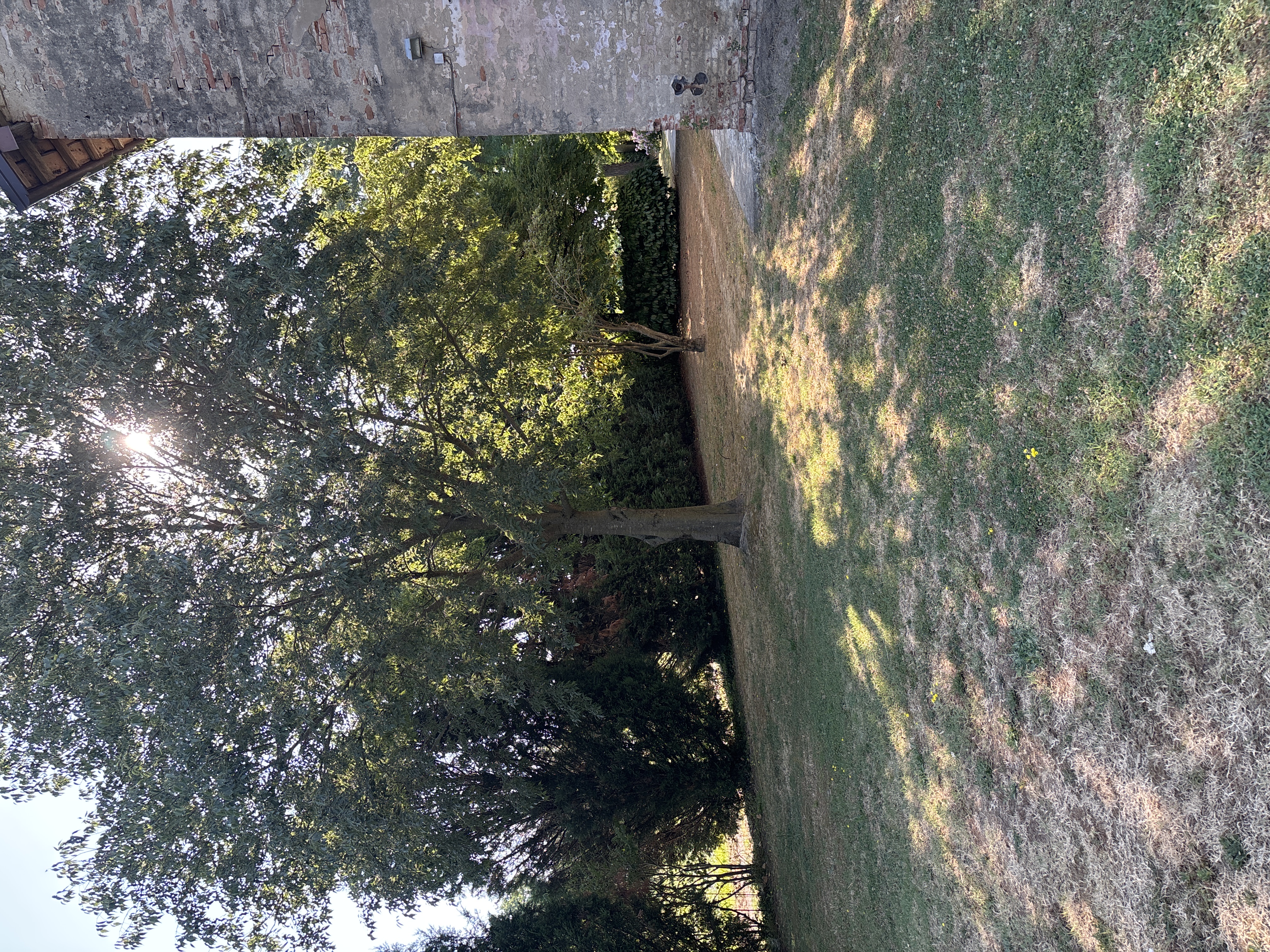 image-16