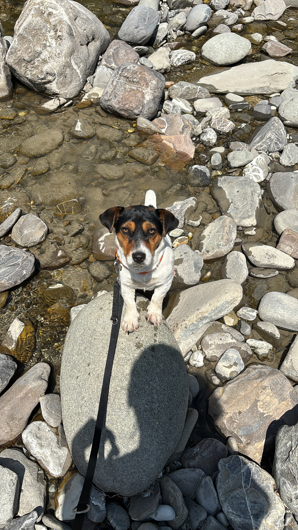 image-5