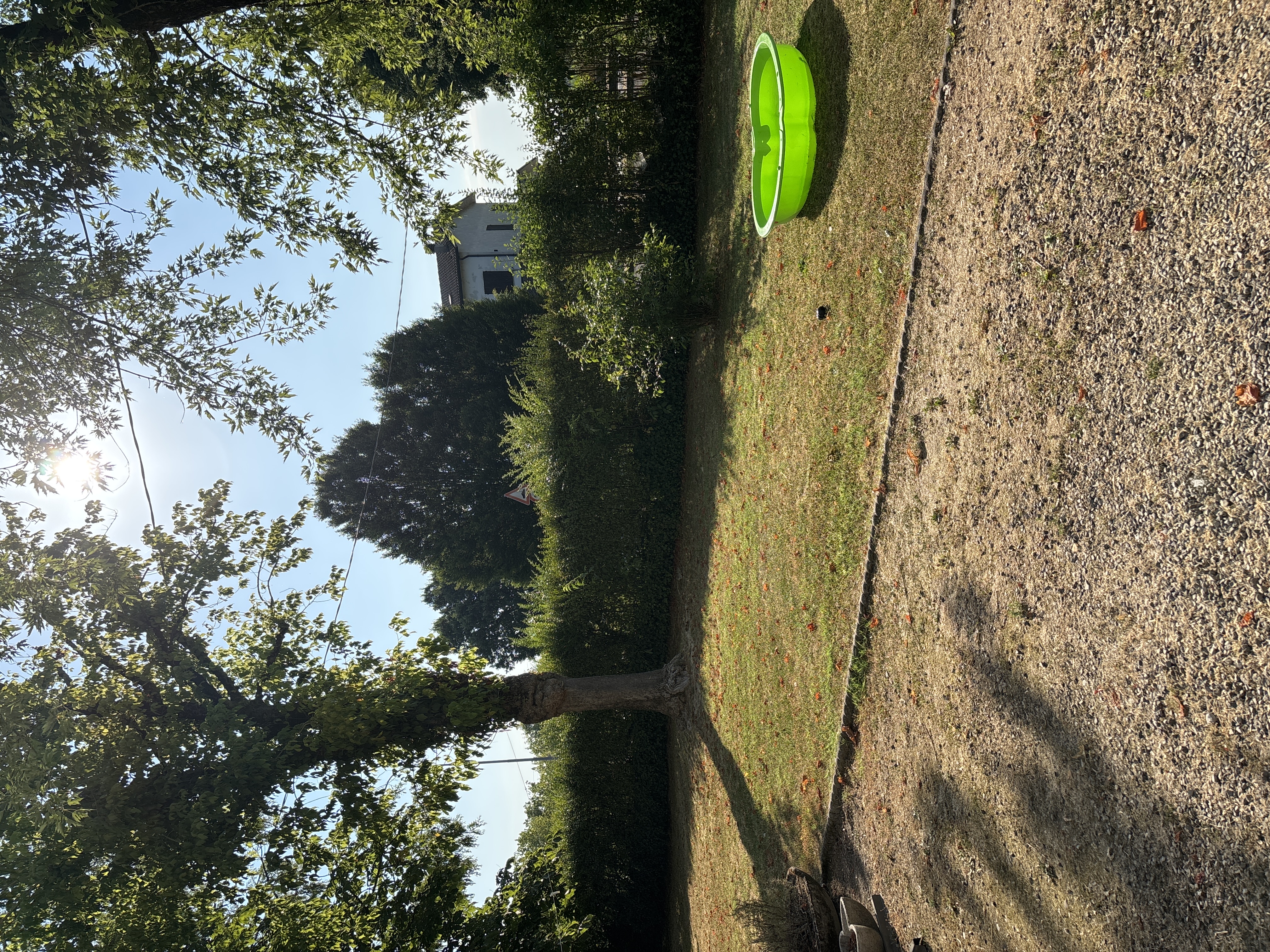 image-14