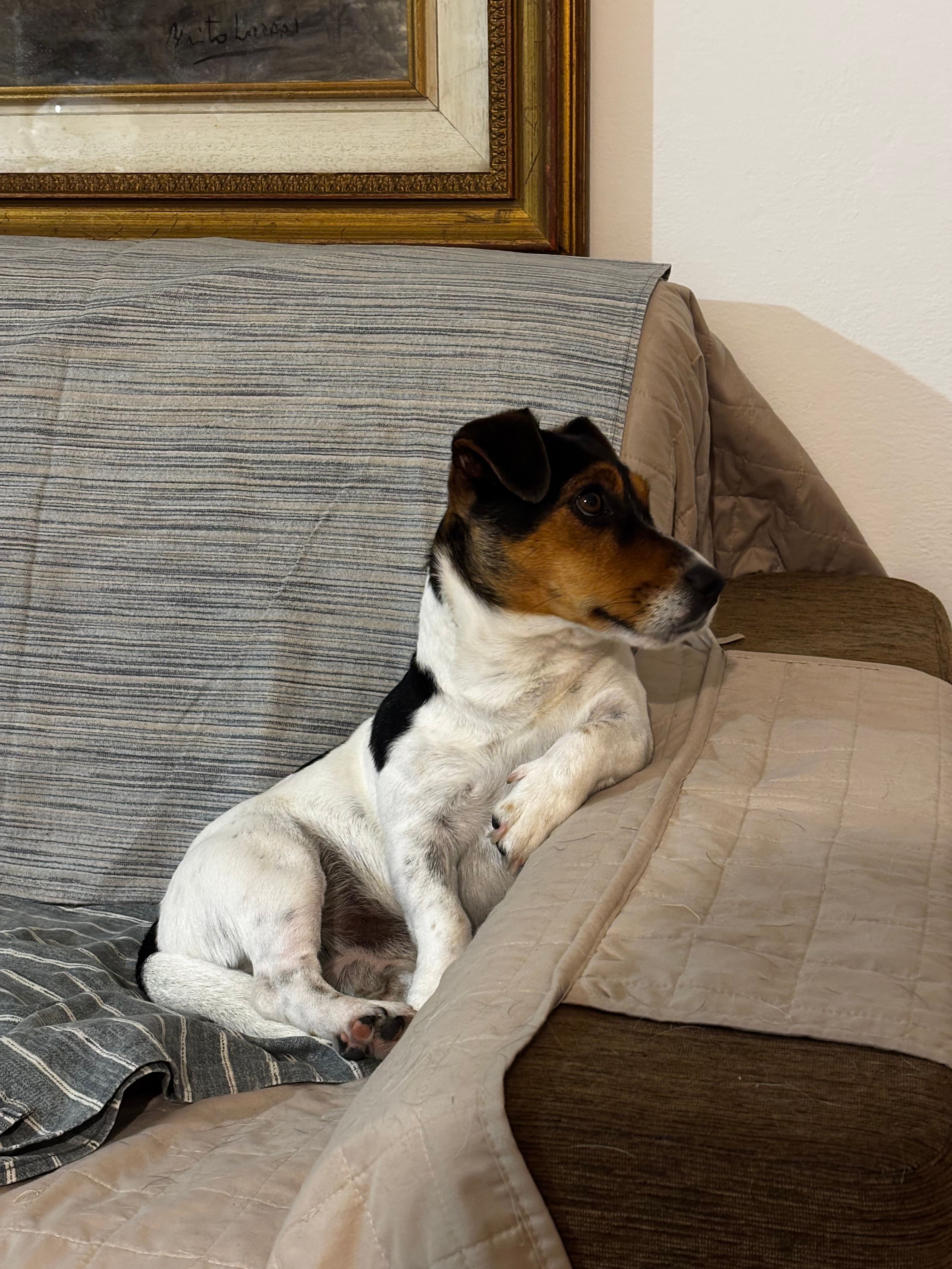 image-7