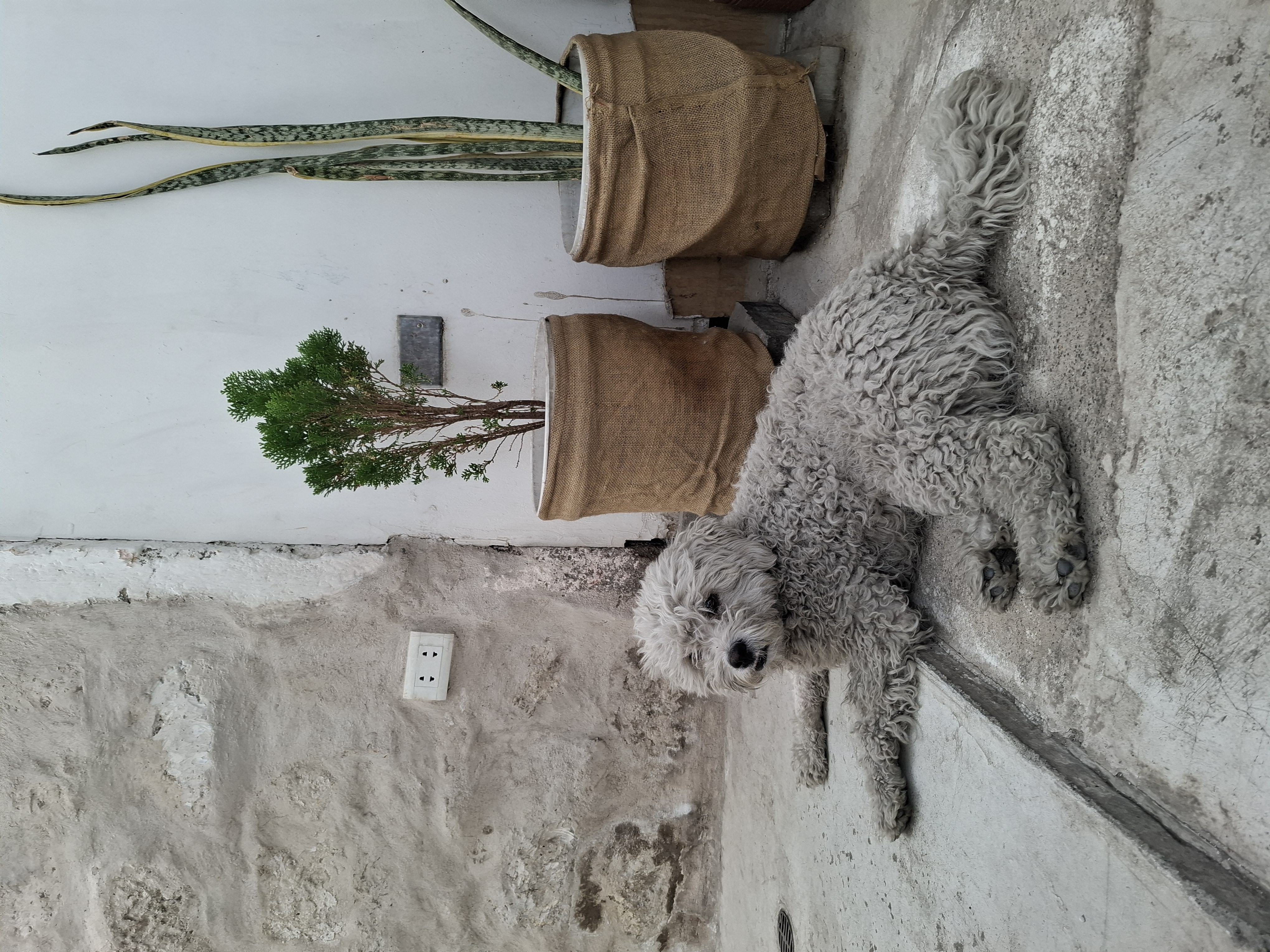 image-7
