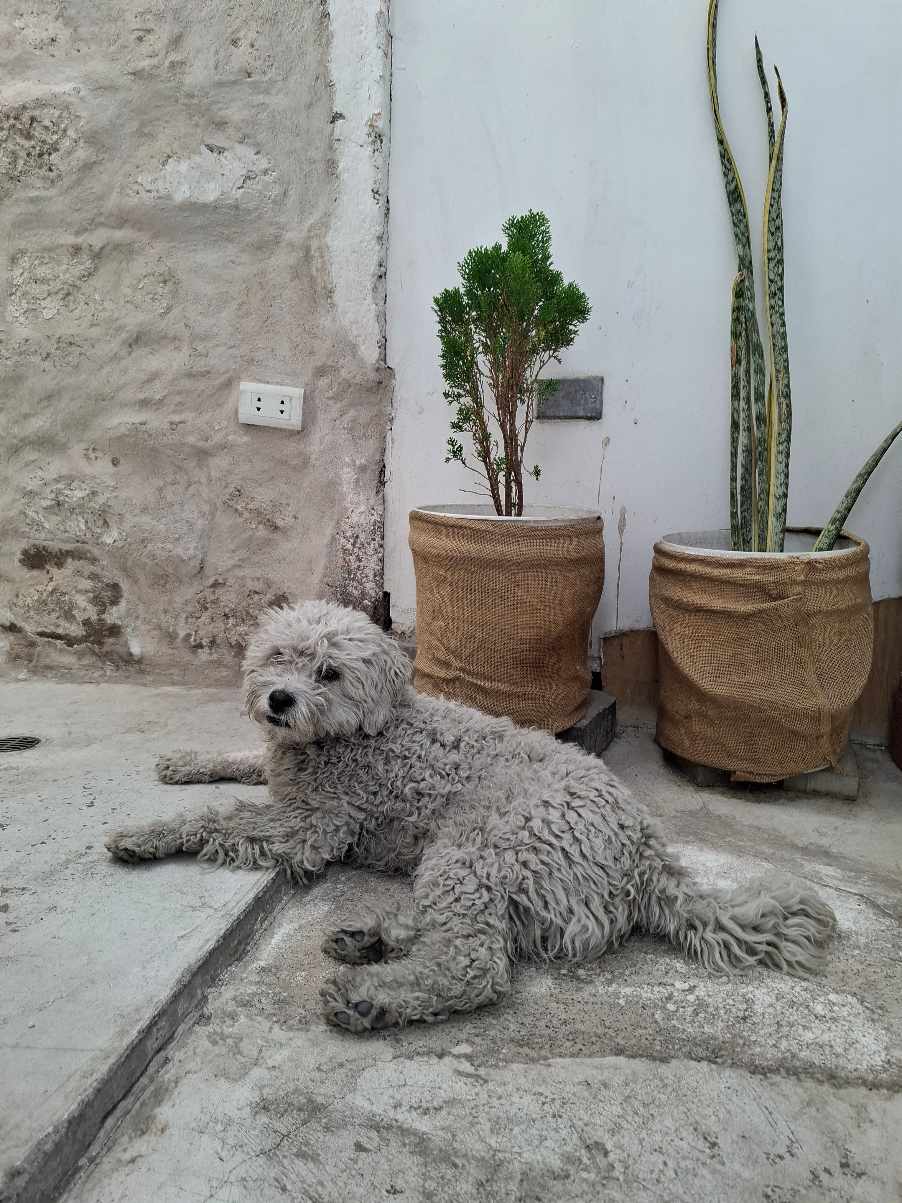 image-7