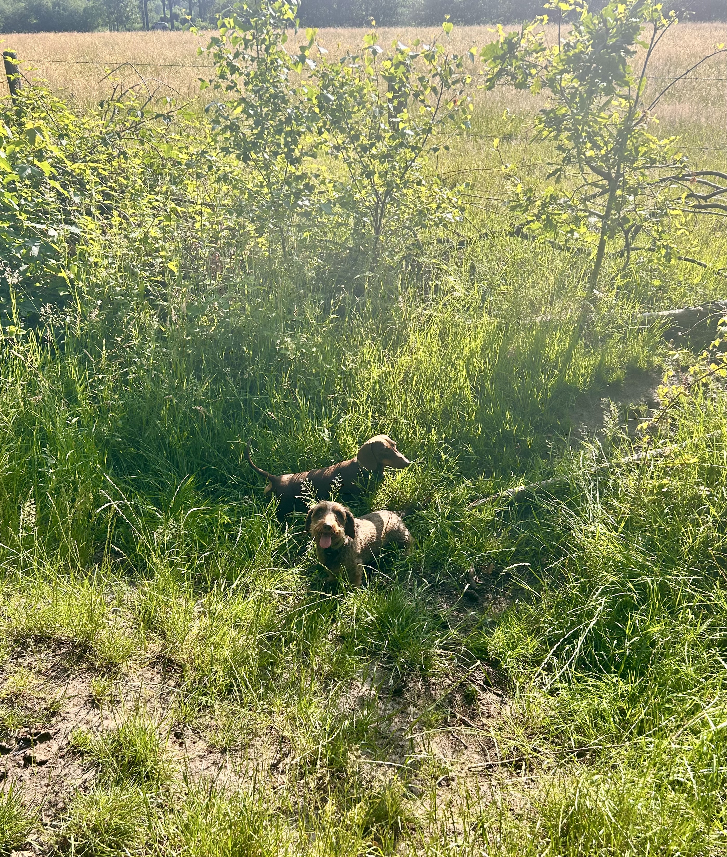 image-14