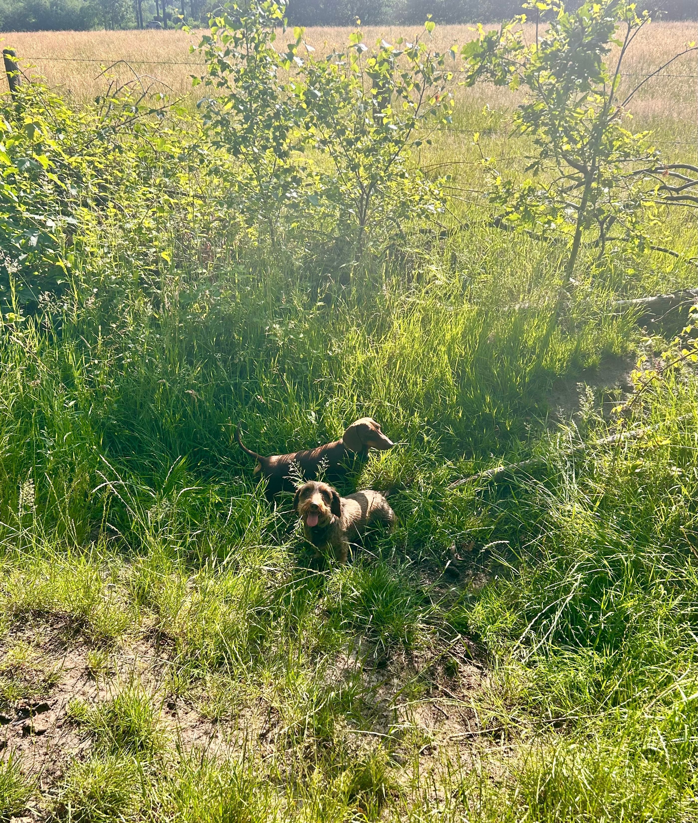 image-14