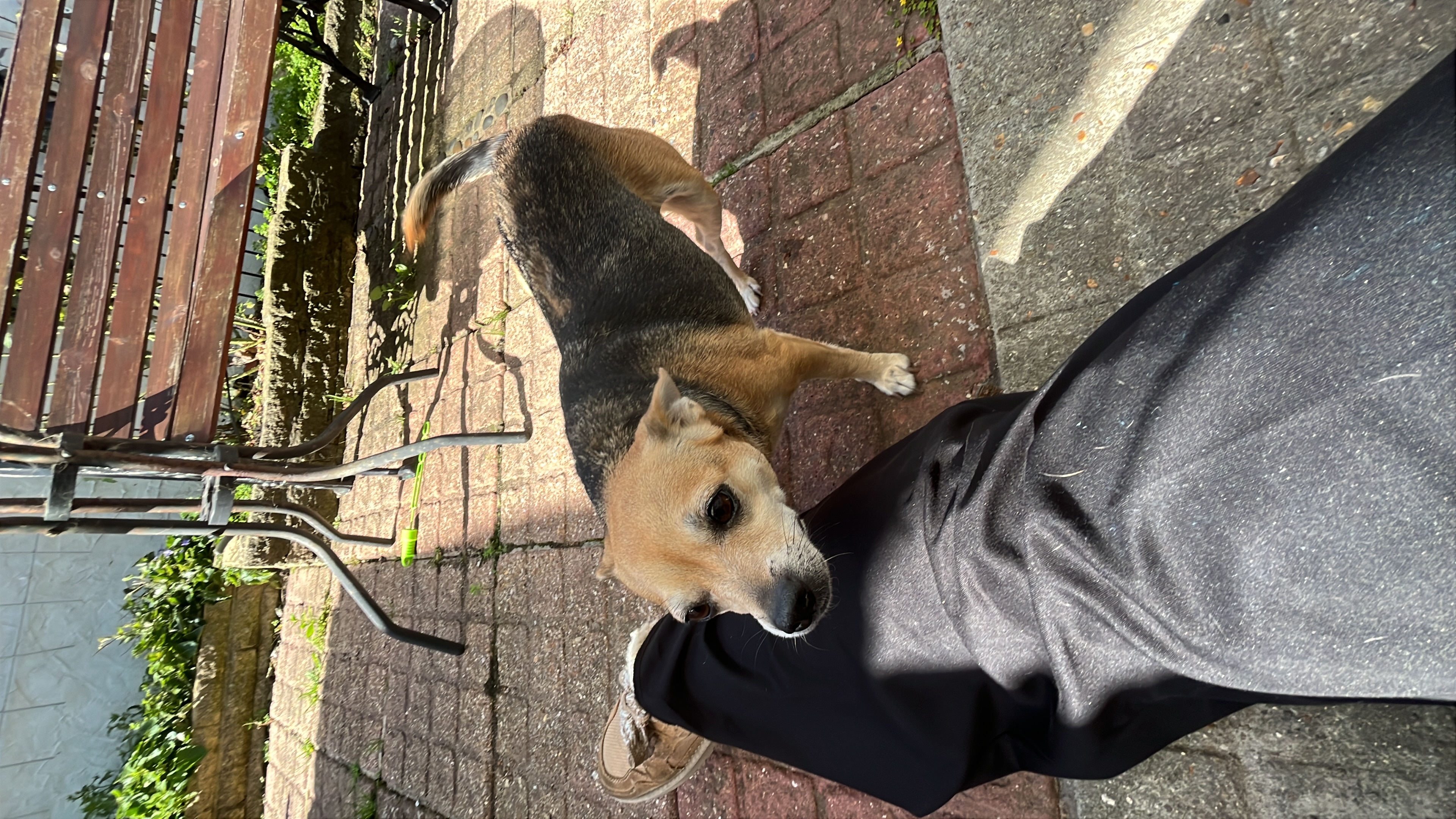 image-7