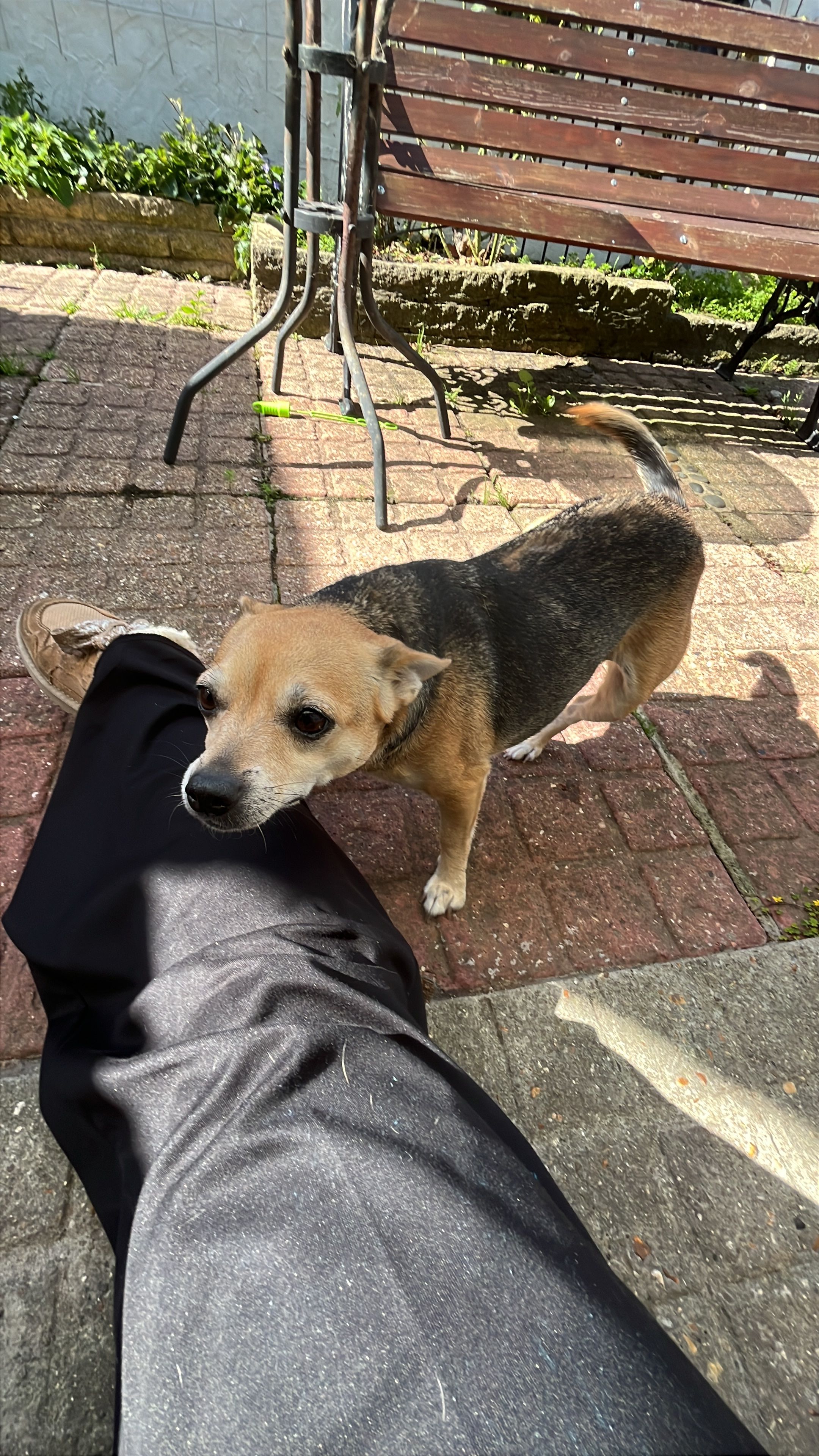 image-7