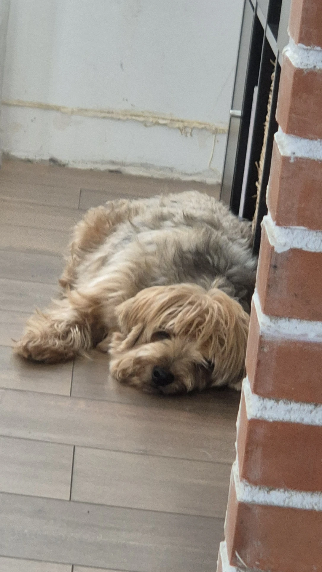 image-6