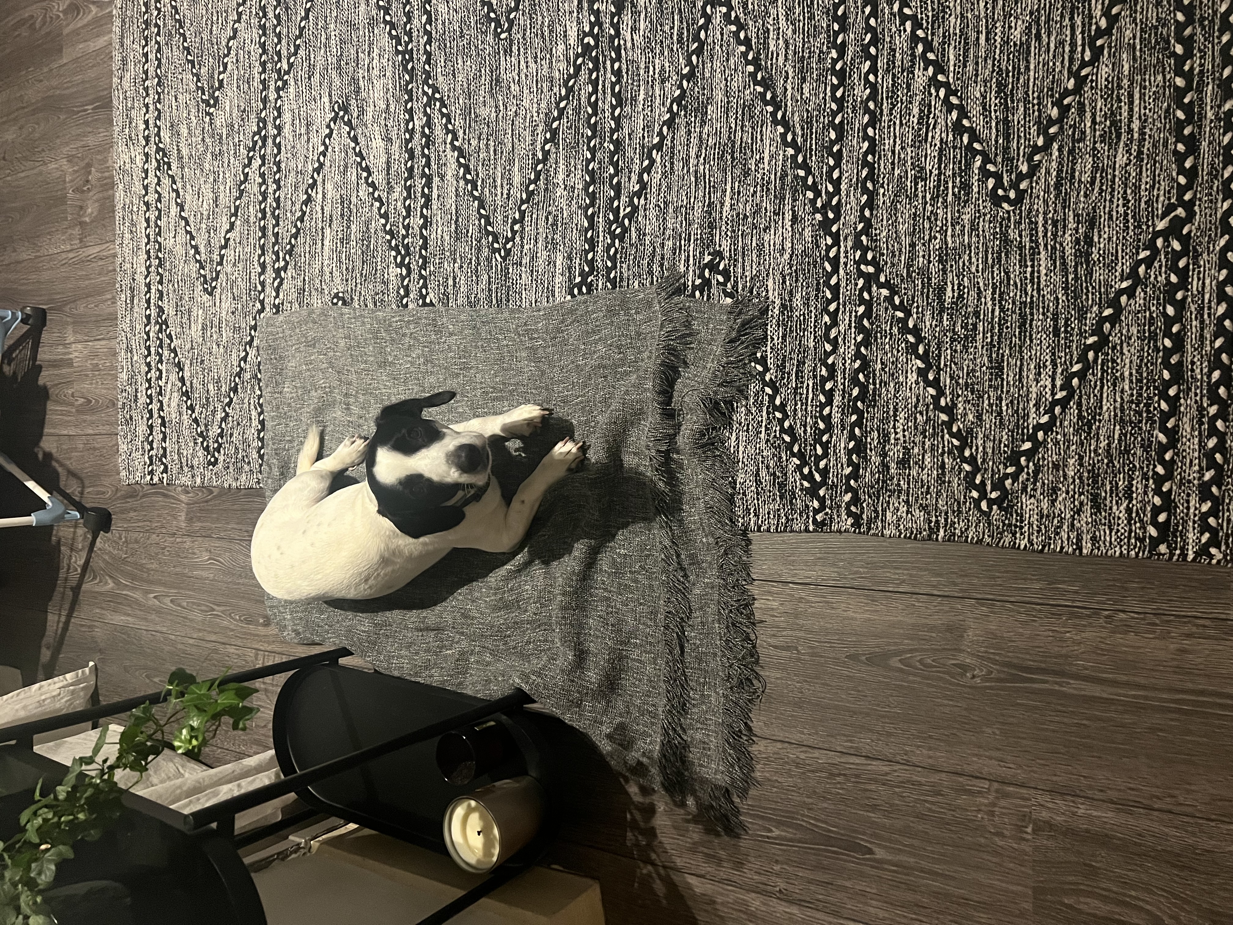 image-11