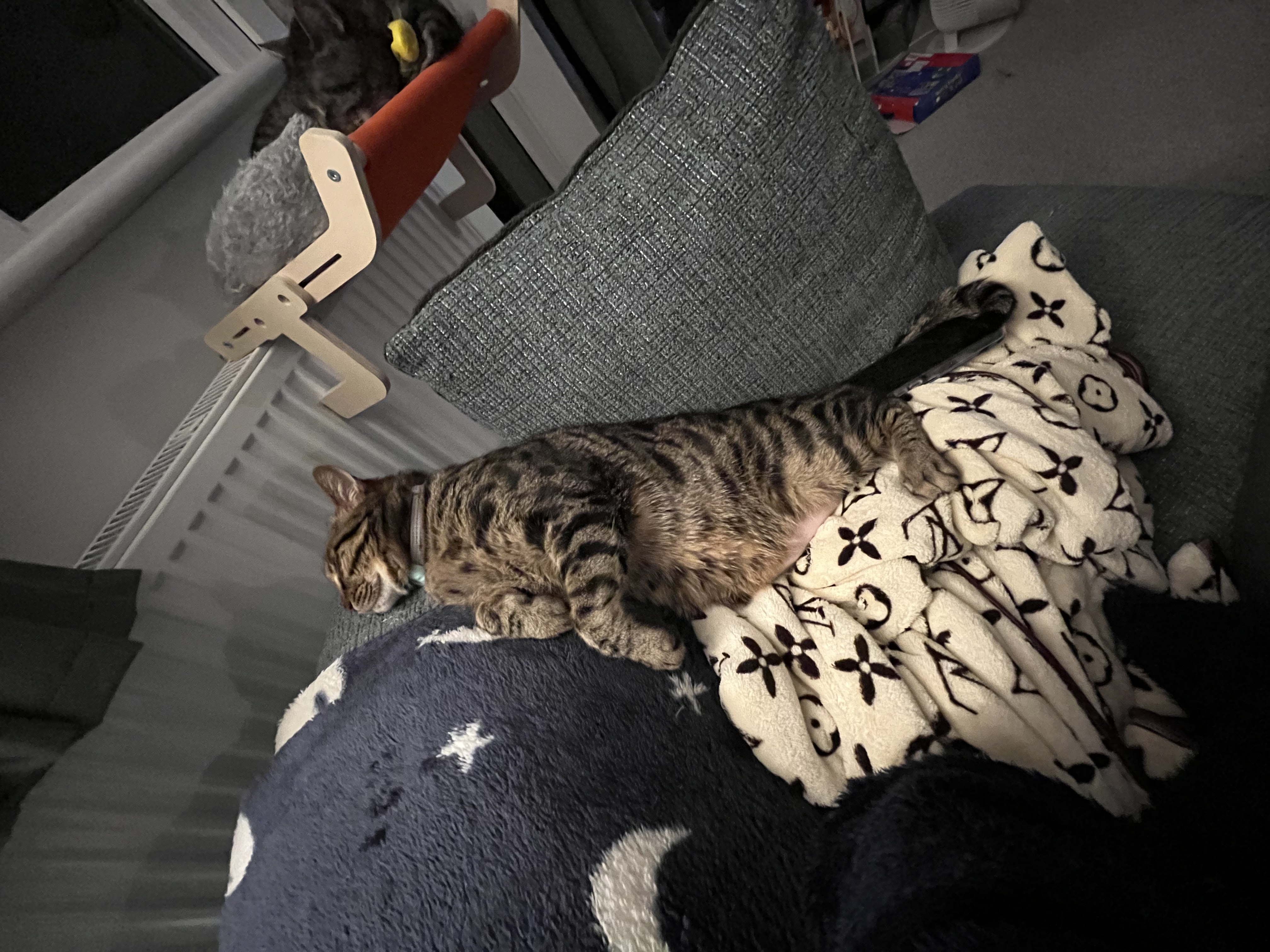 image-7