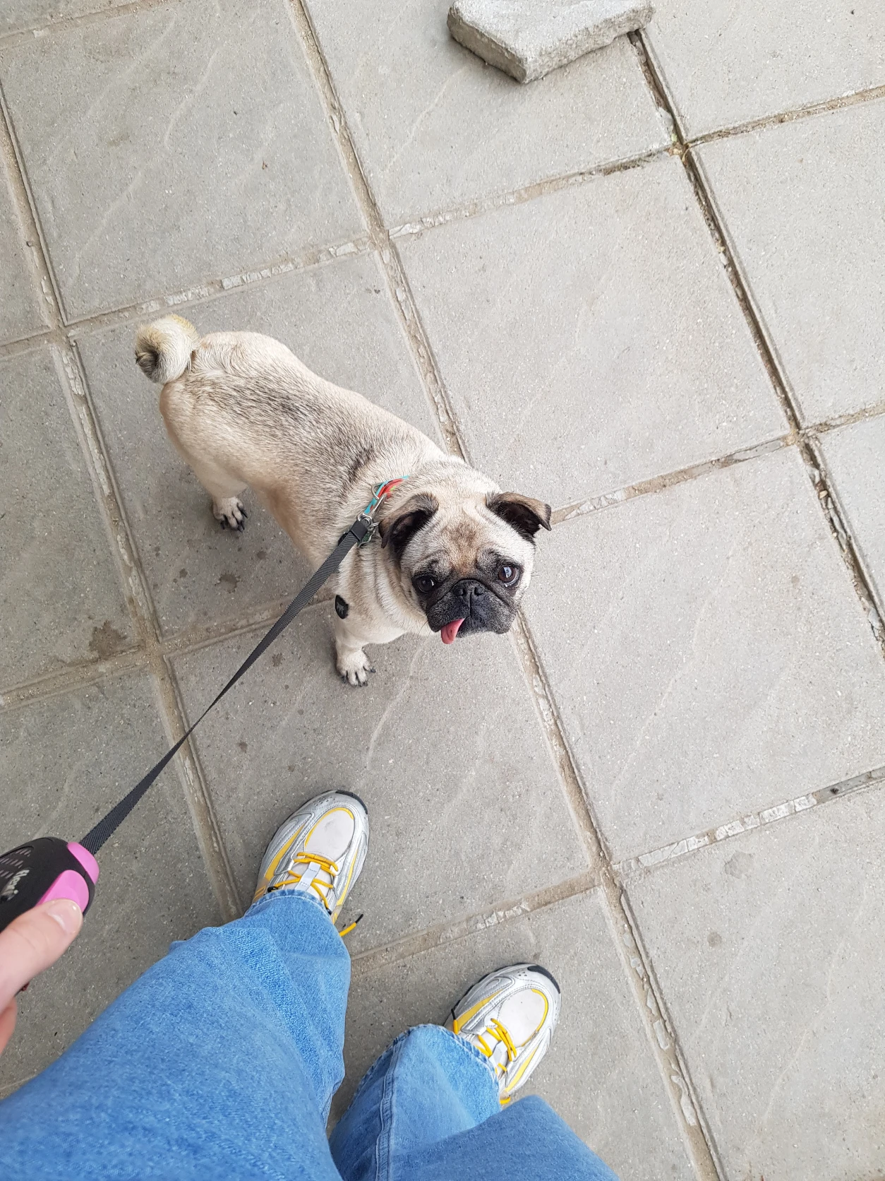 image-8