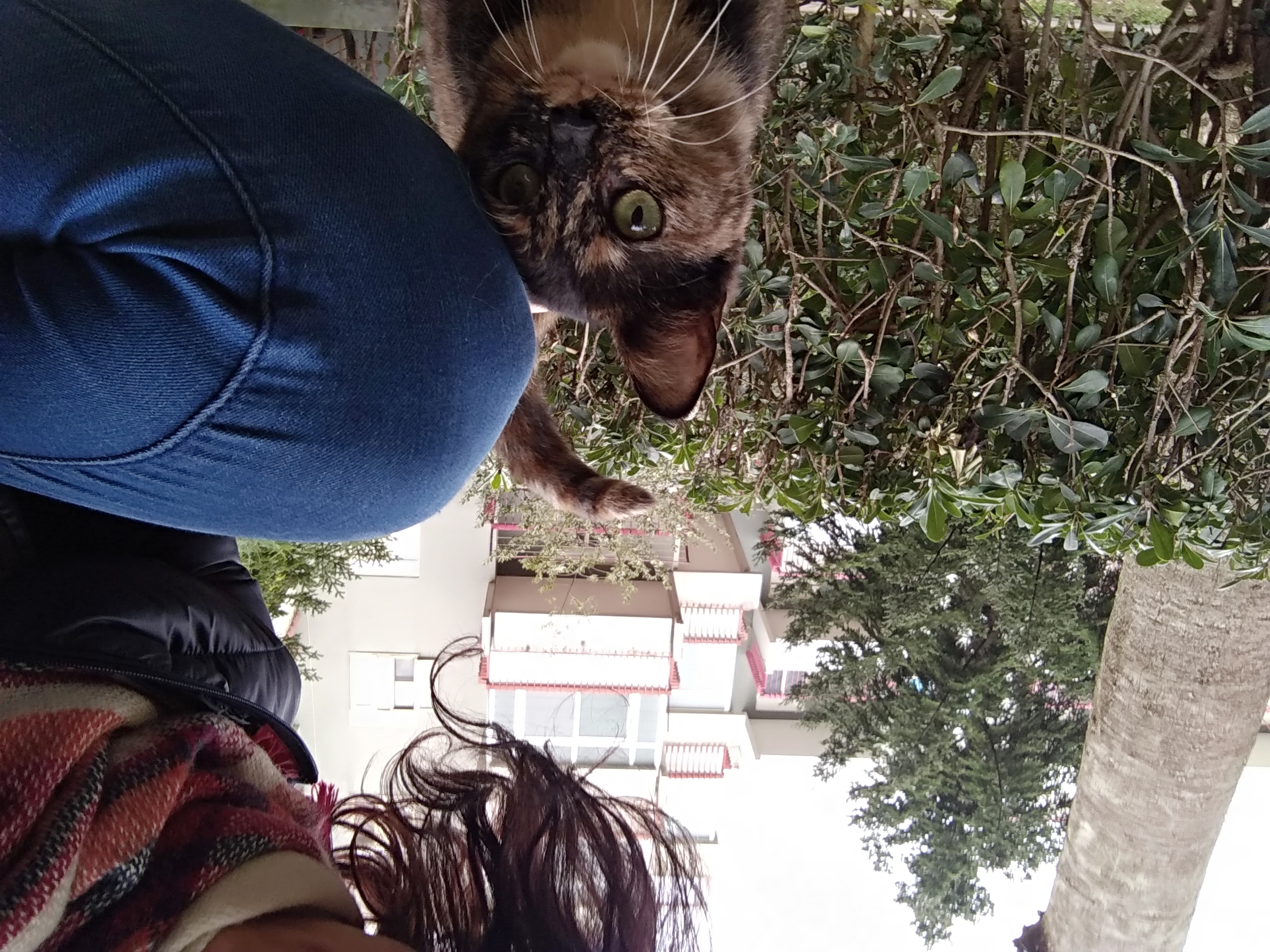 image-8
