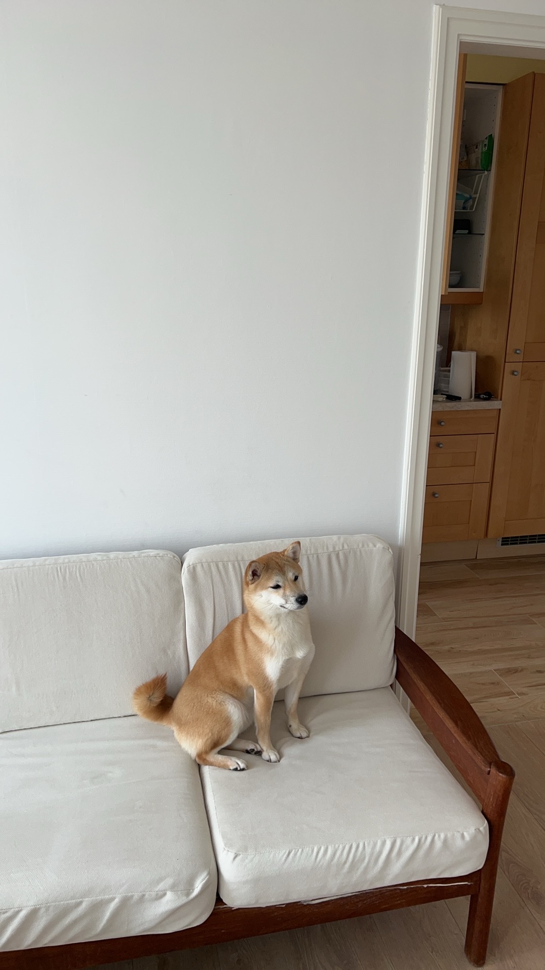 image-29