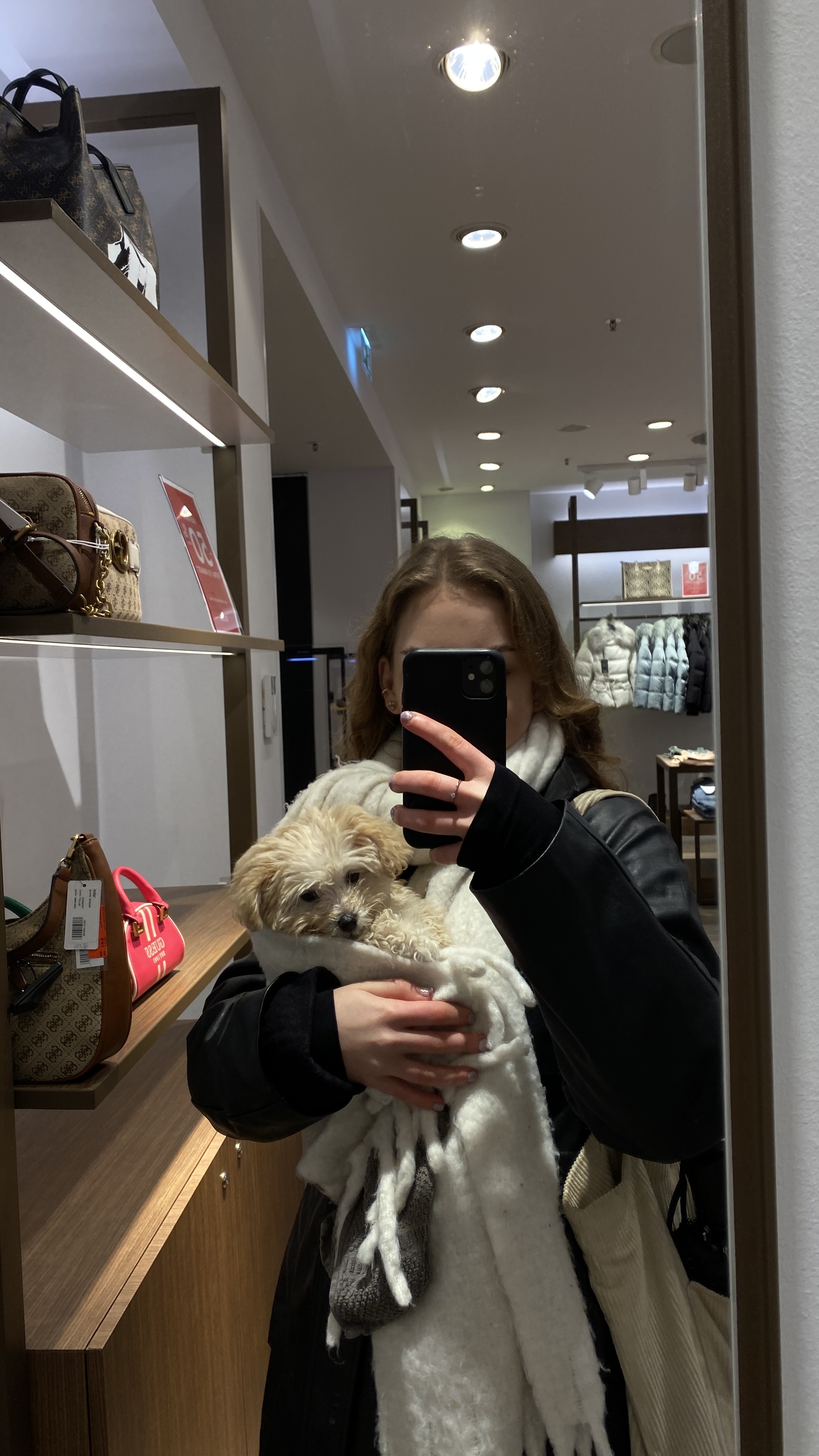 image-11