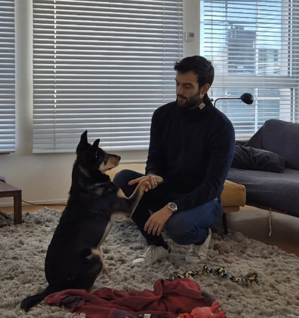 image-6