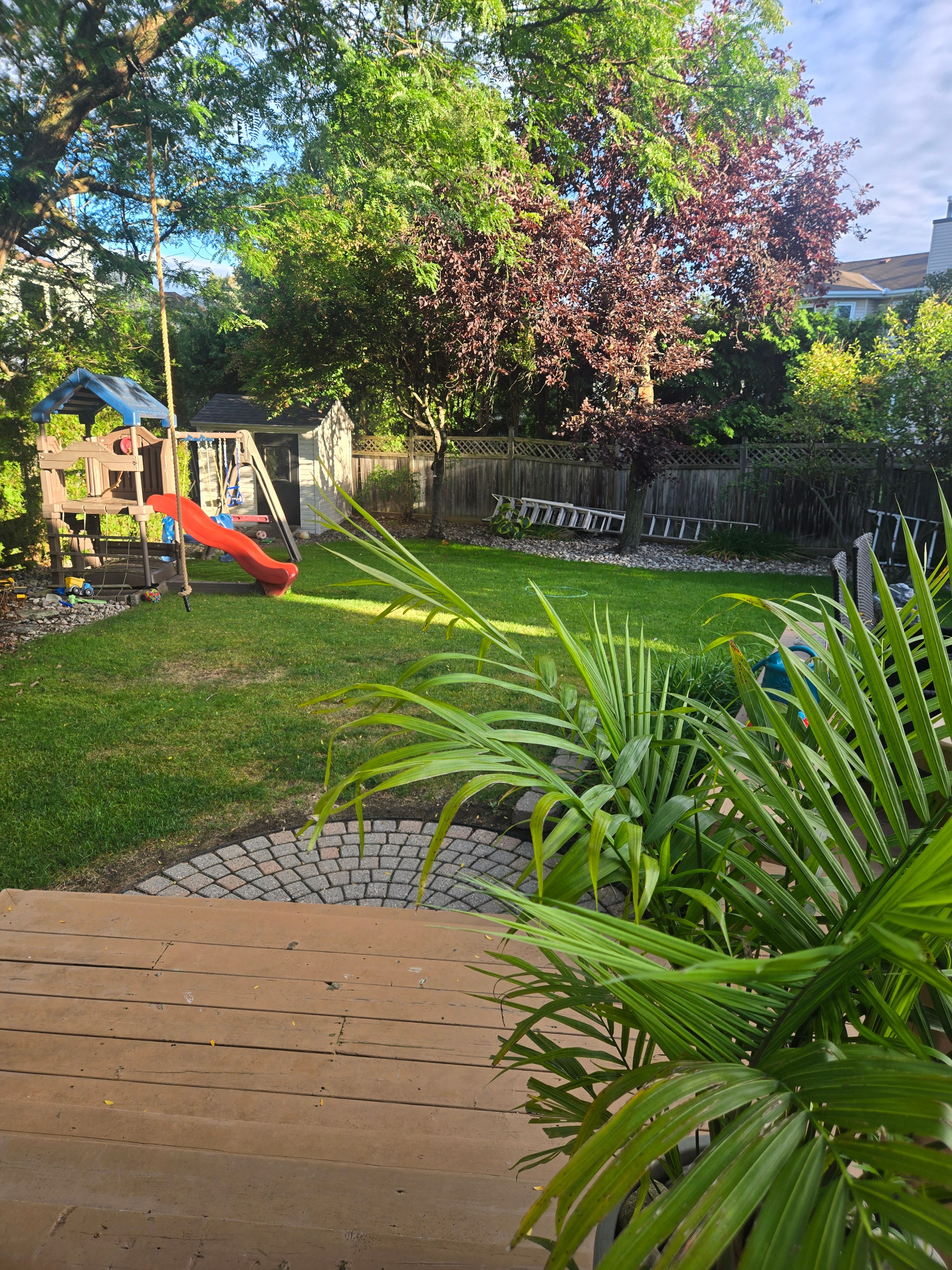 image-17