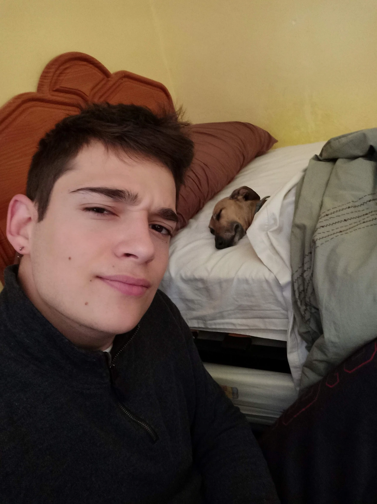 image-1