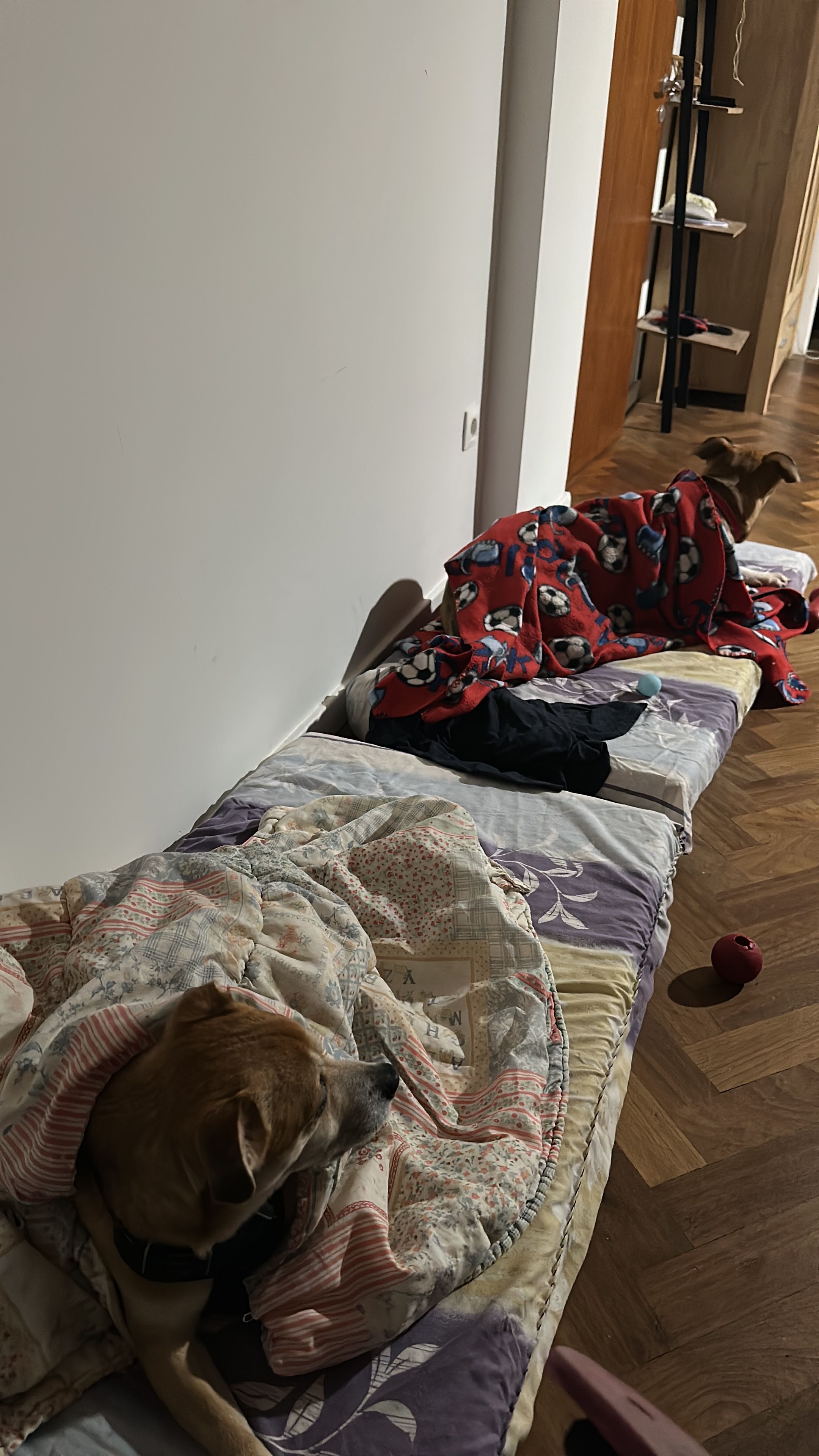 image-25