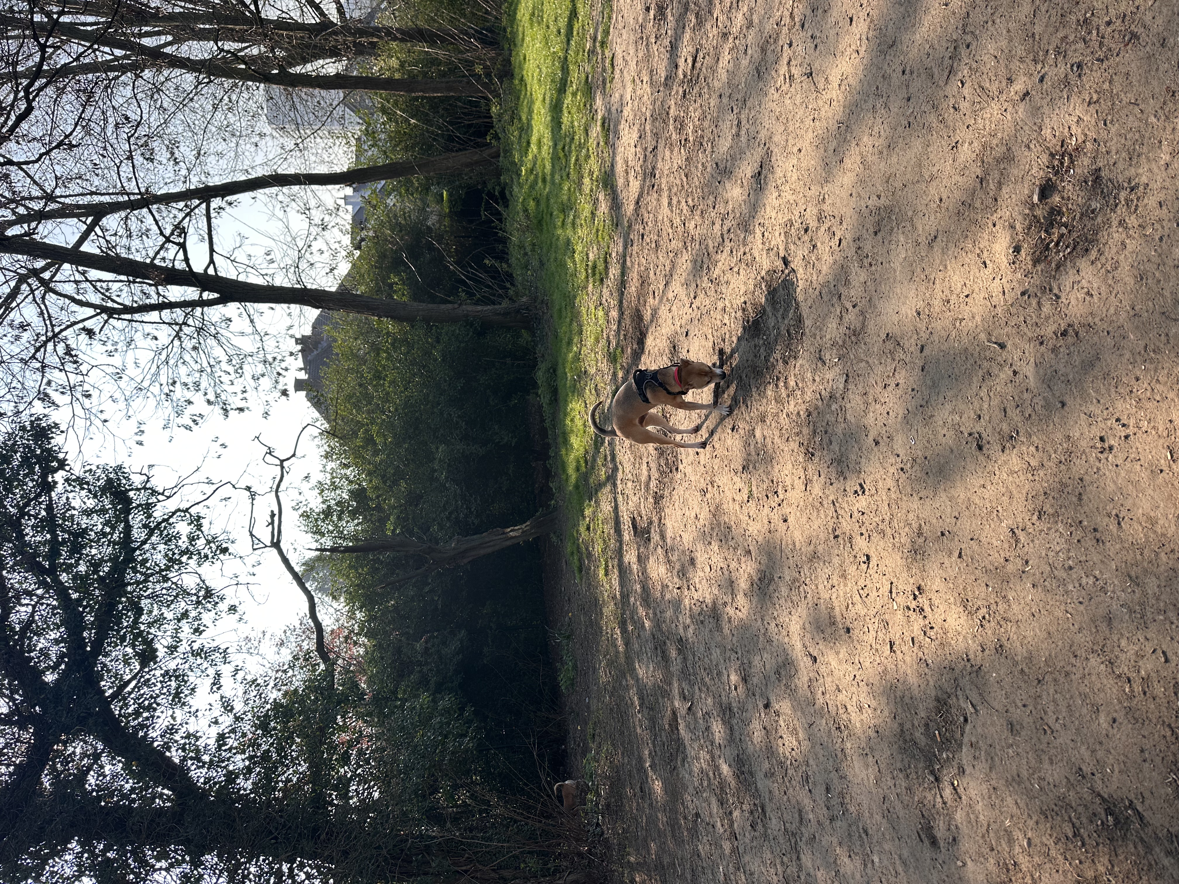 image-16