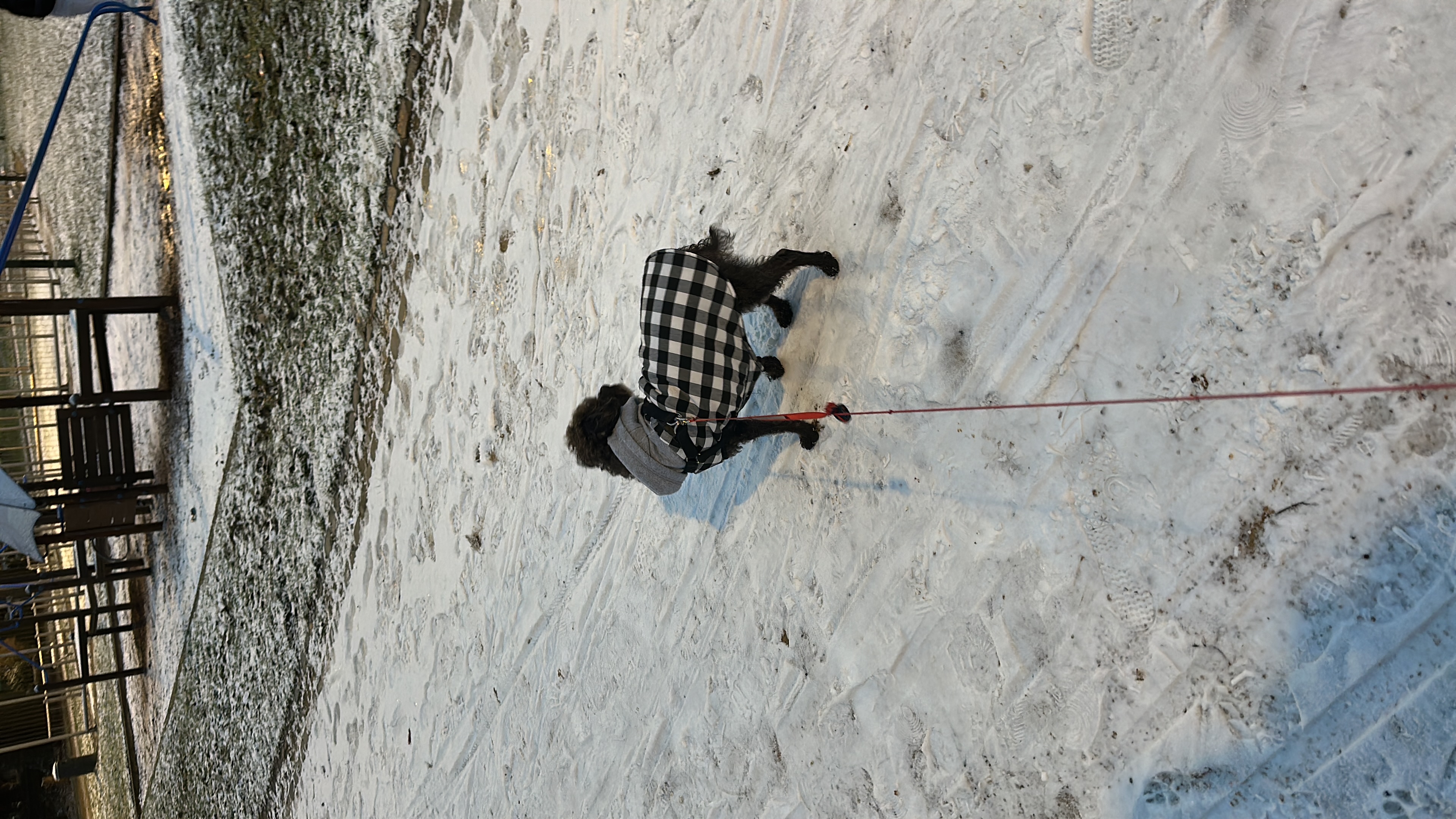 image-9