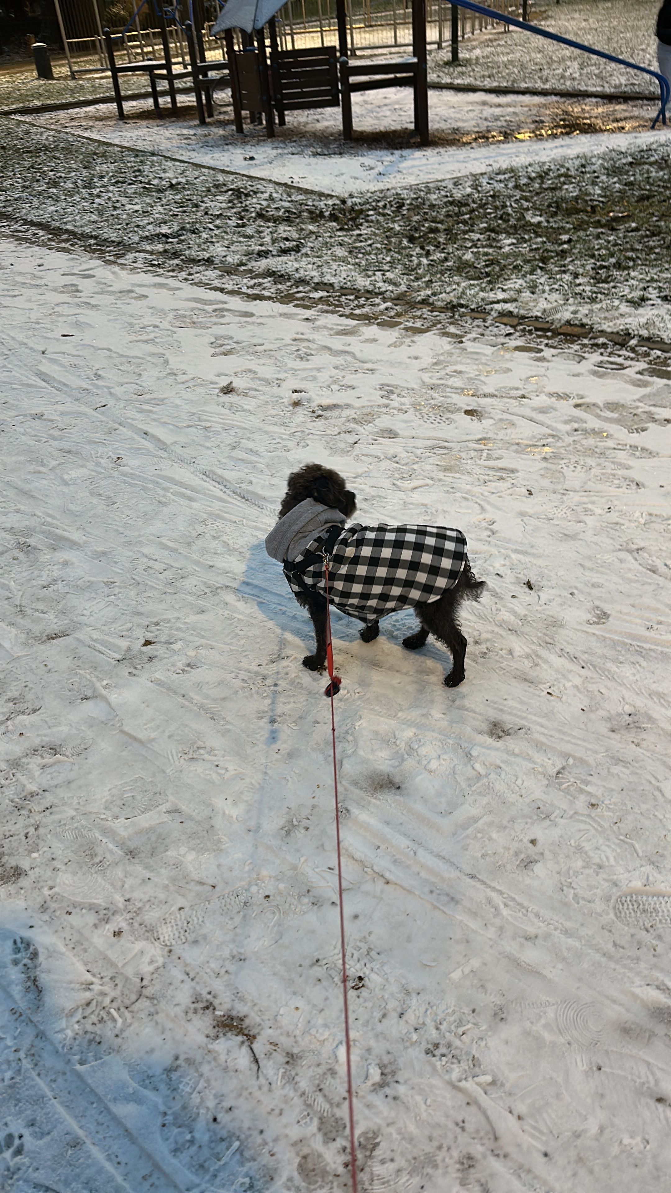image-9