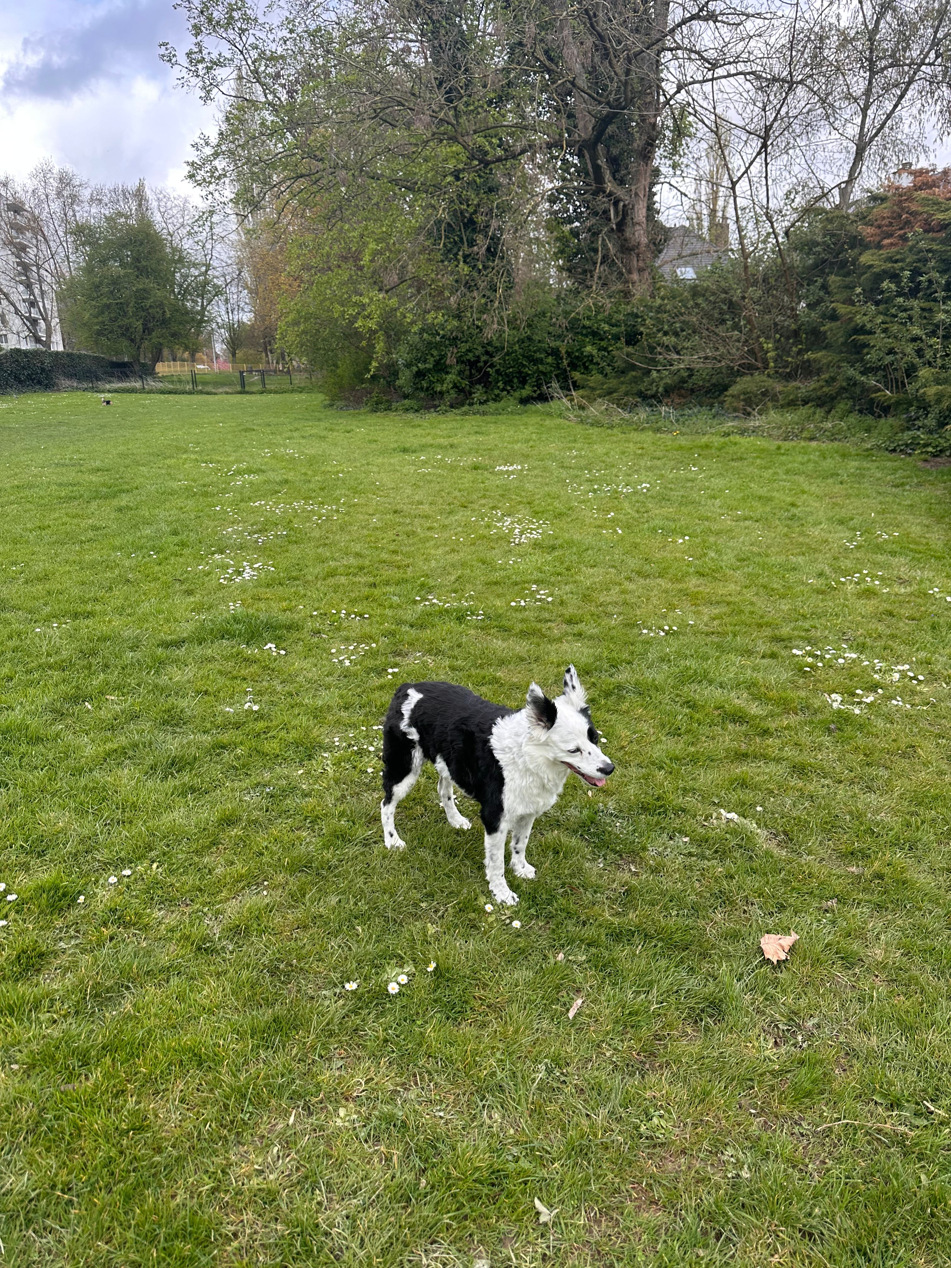 image-27