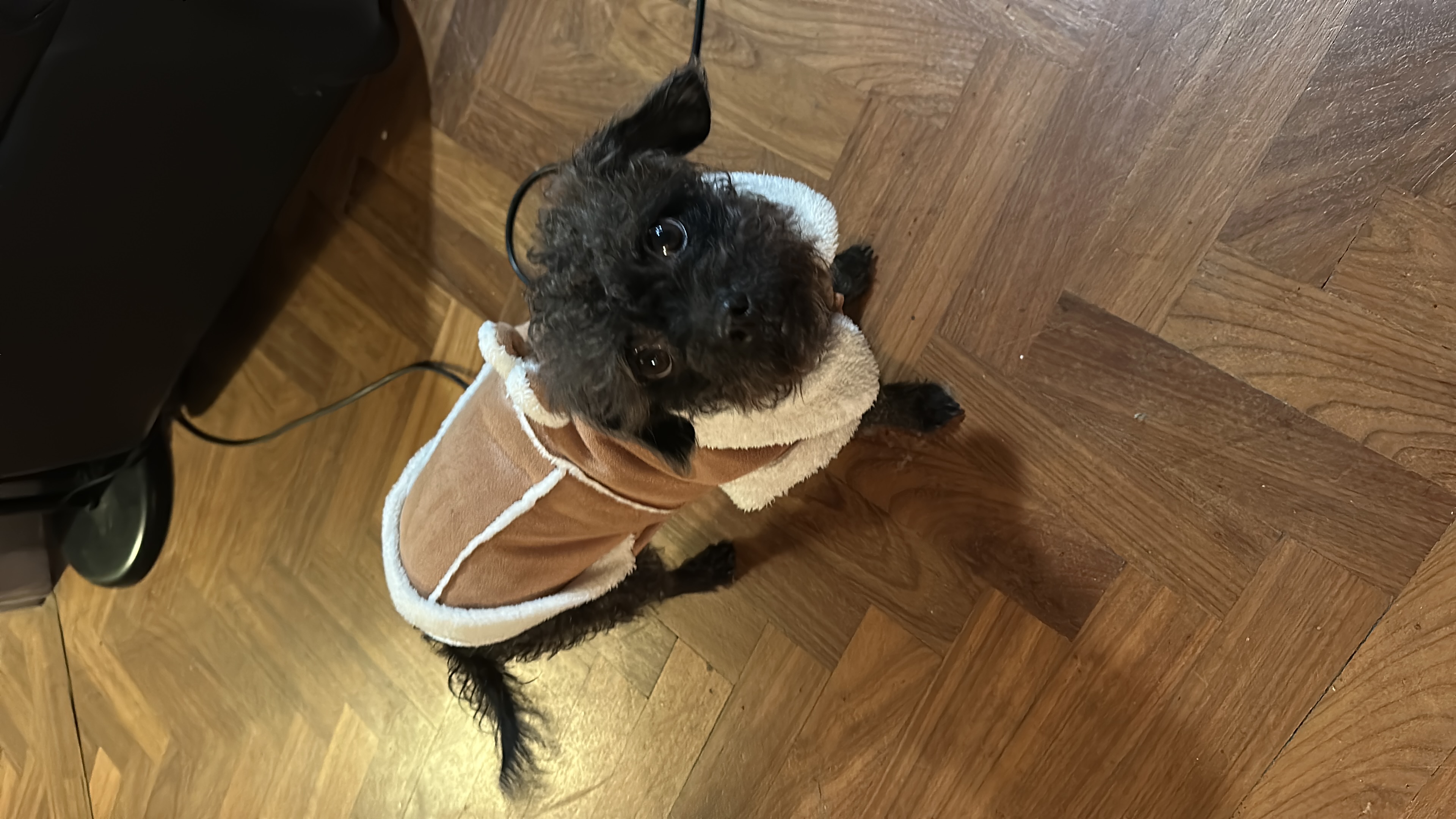 image-12