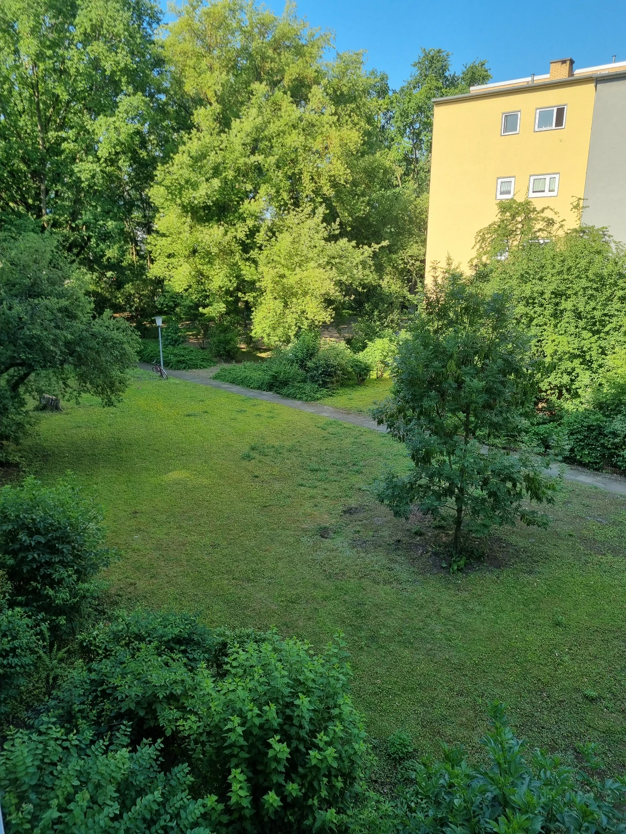 image-16
