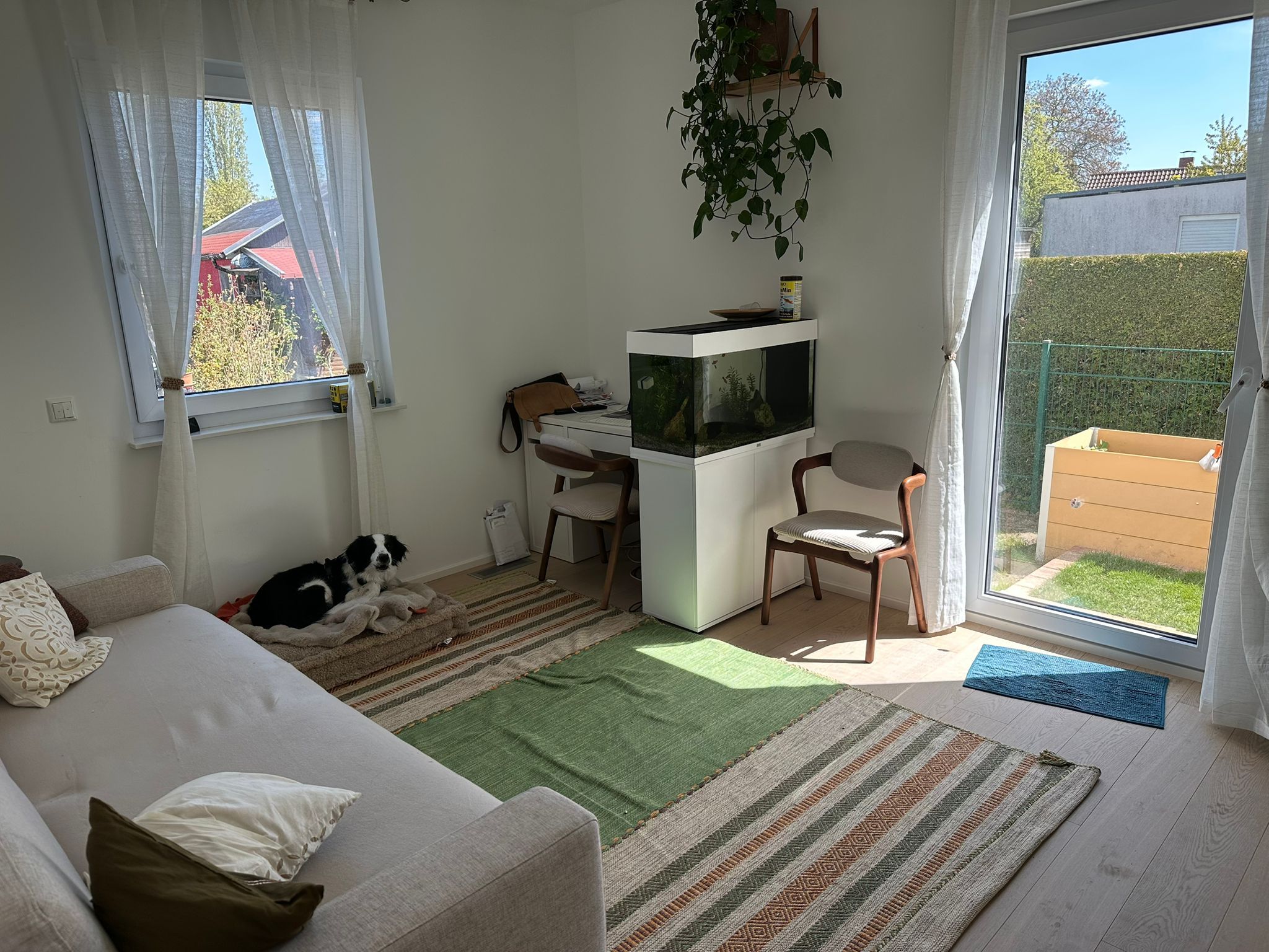 image-14