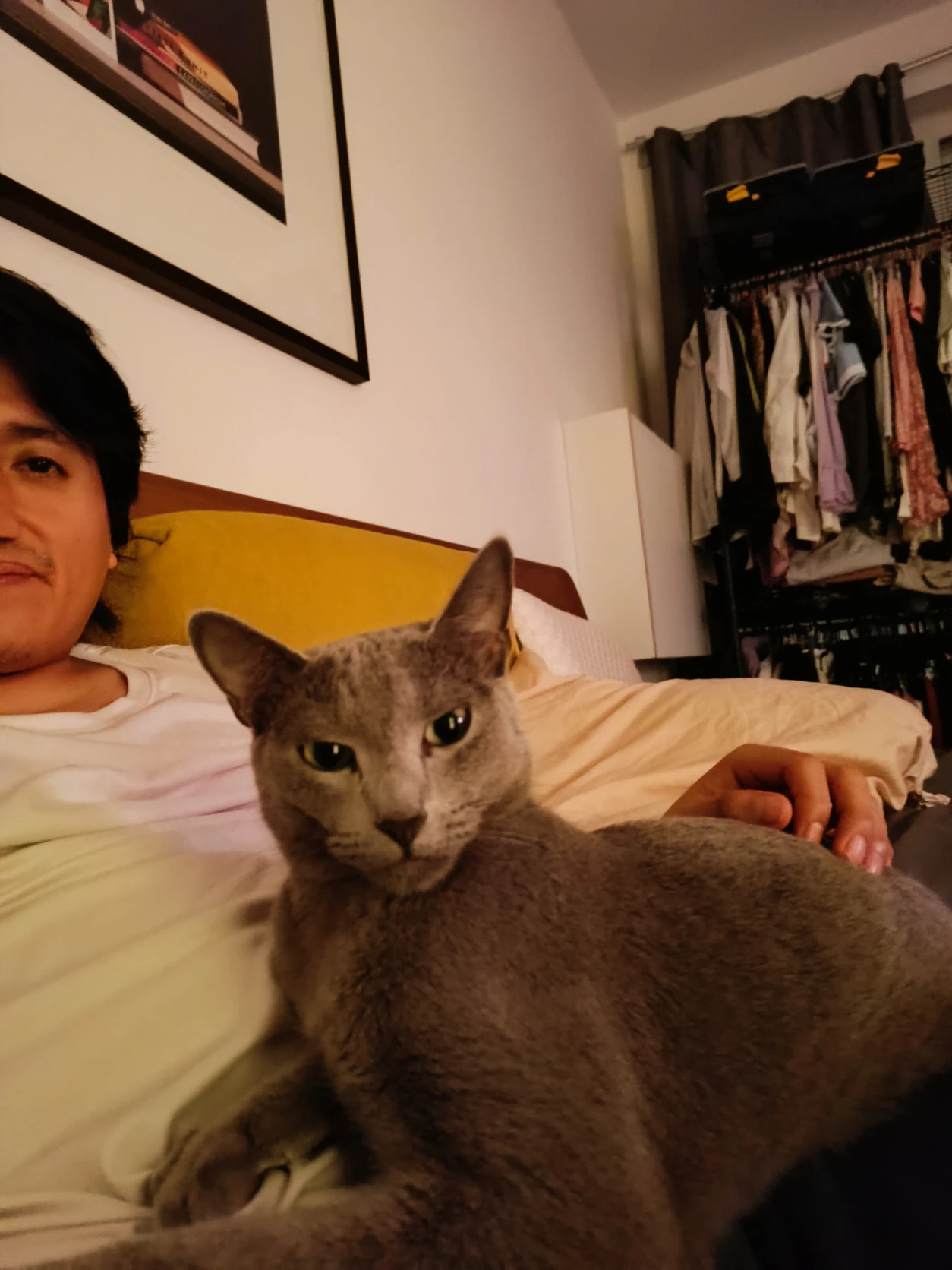 image-7