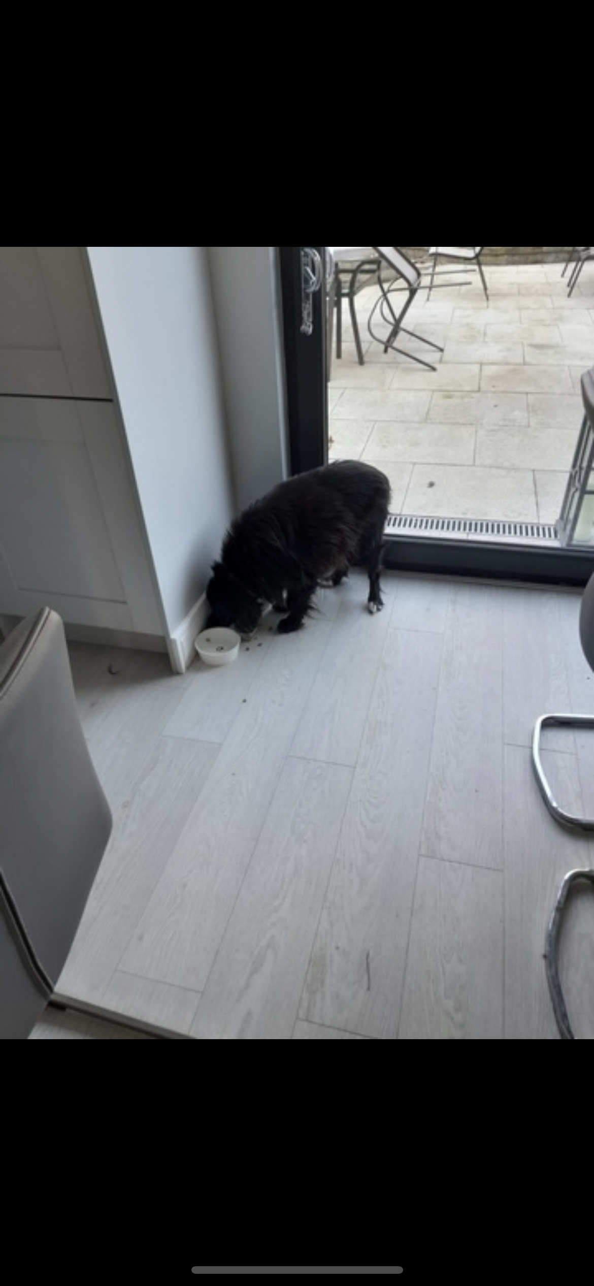 image-20