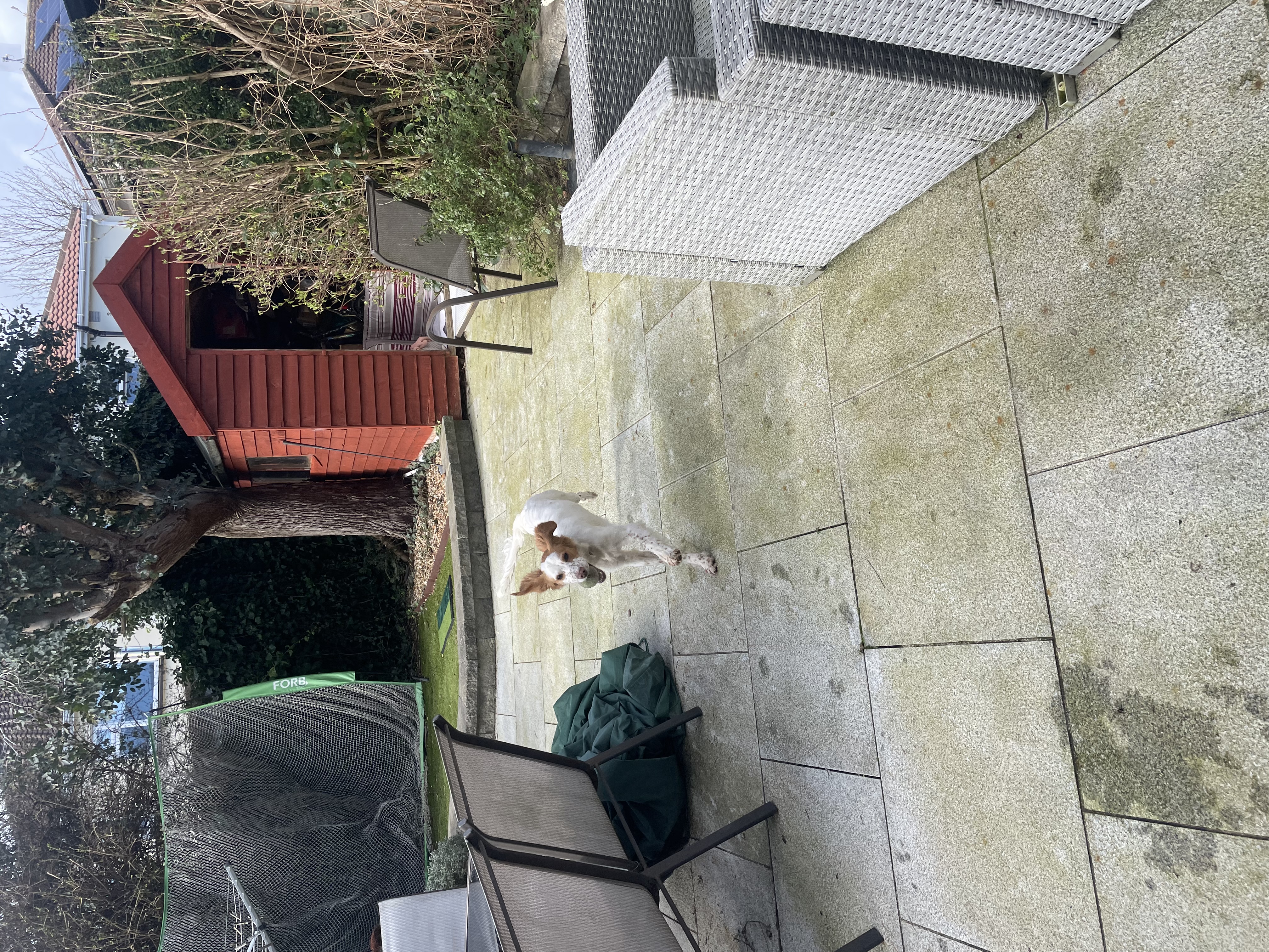 image-19