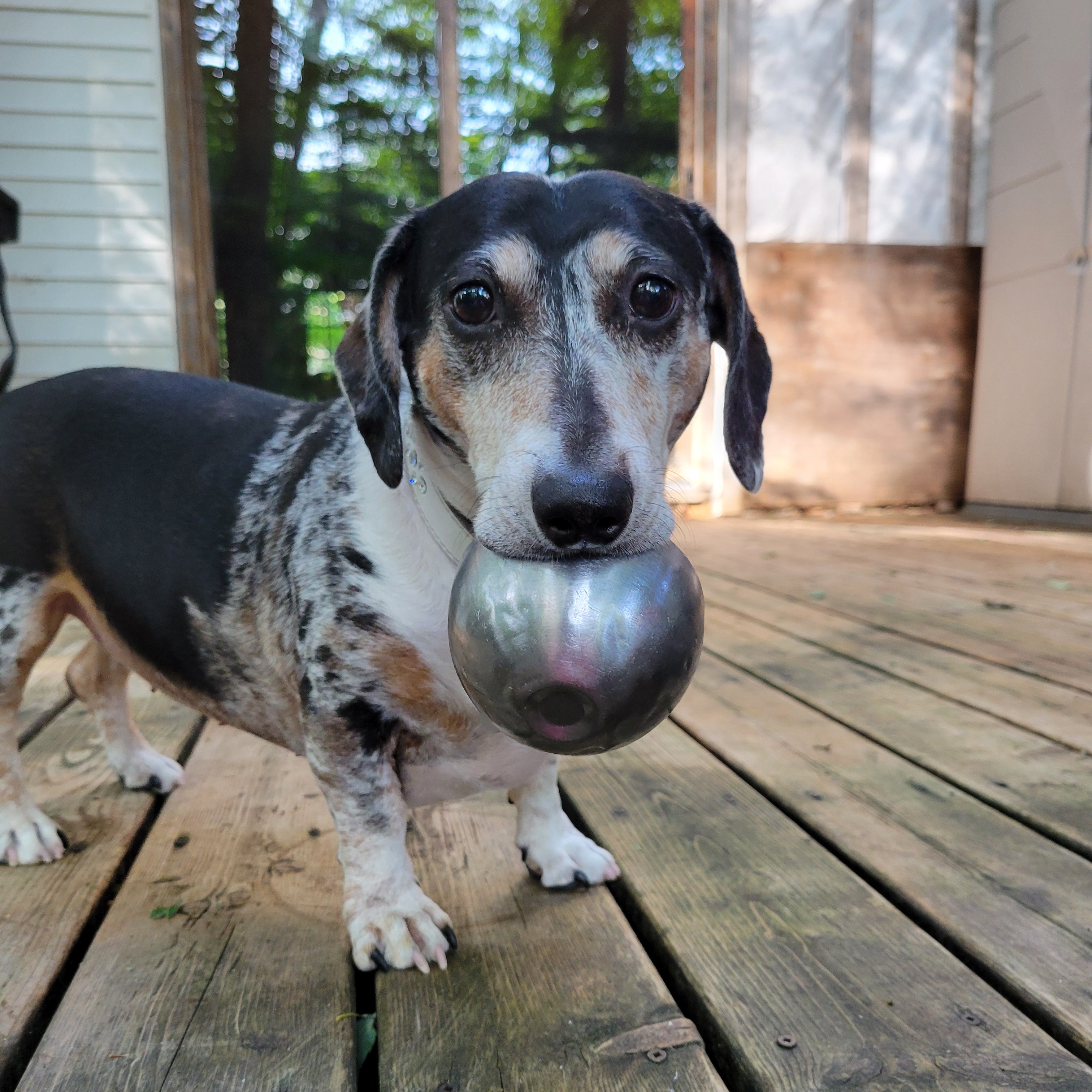 Claudette