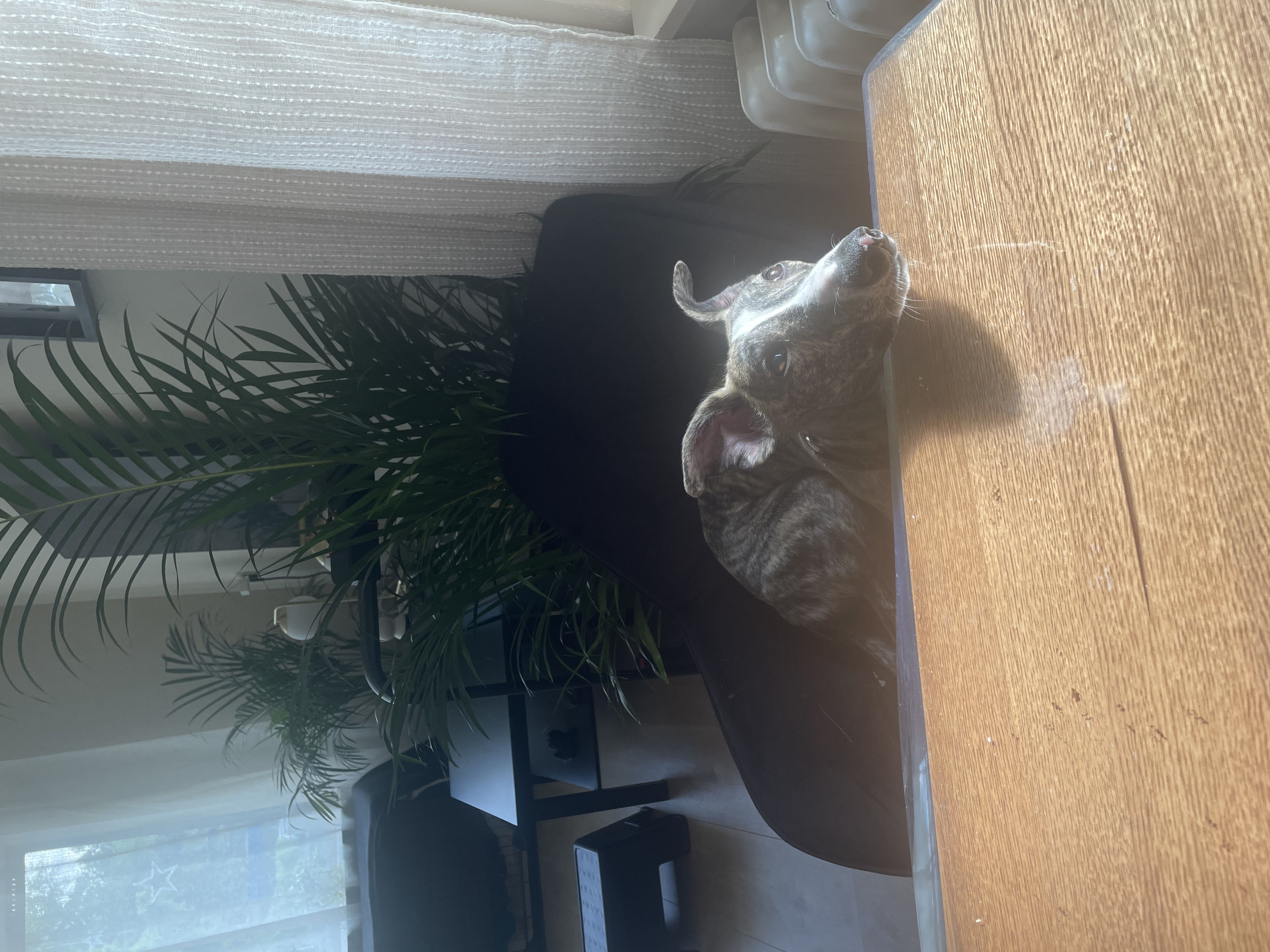image-17