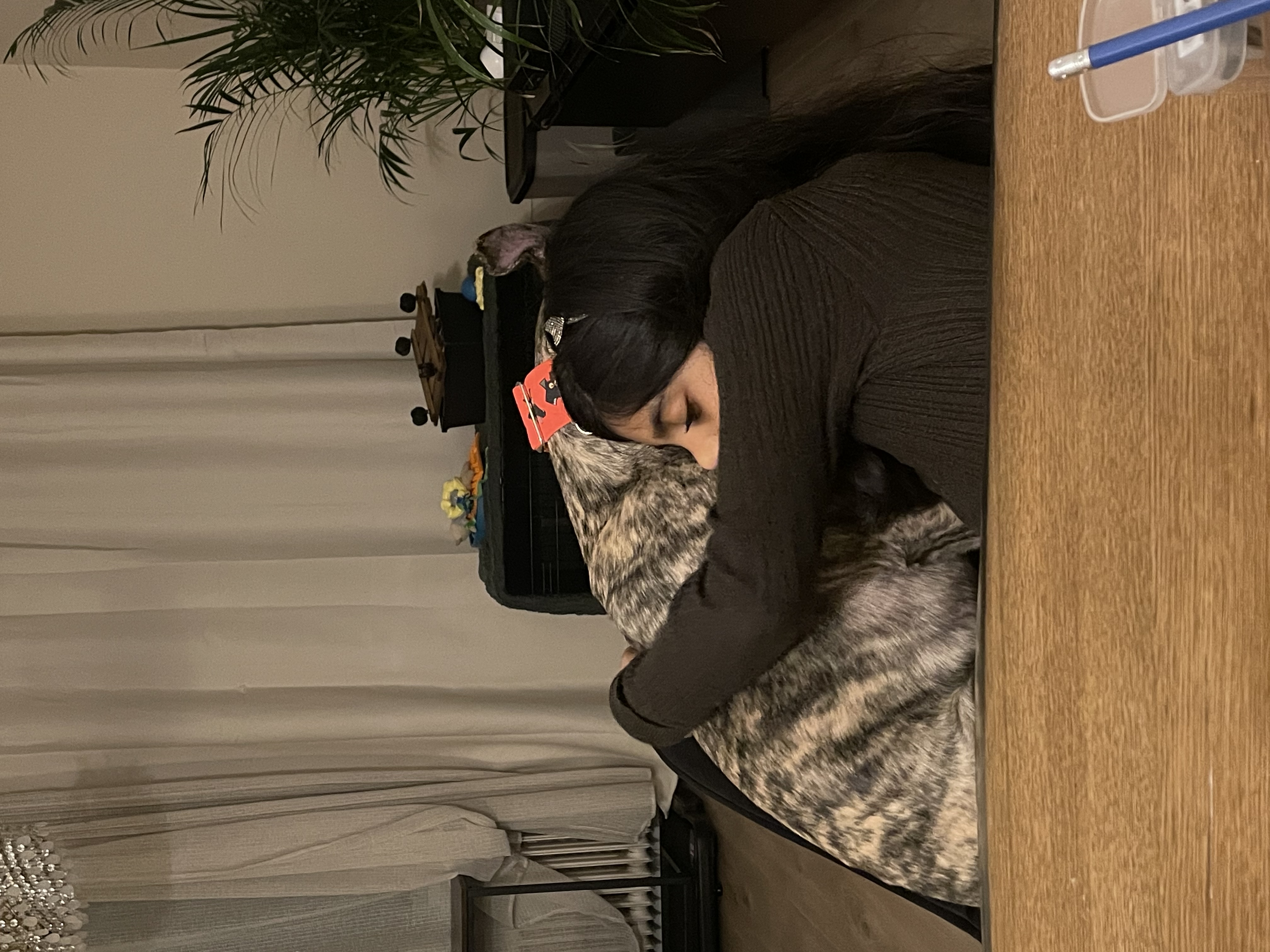 image-4