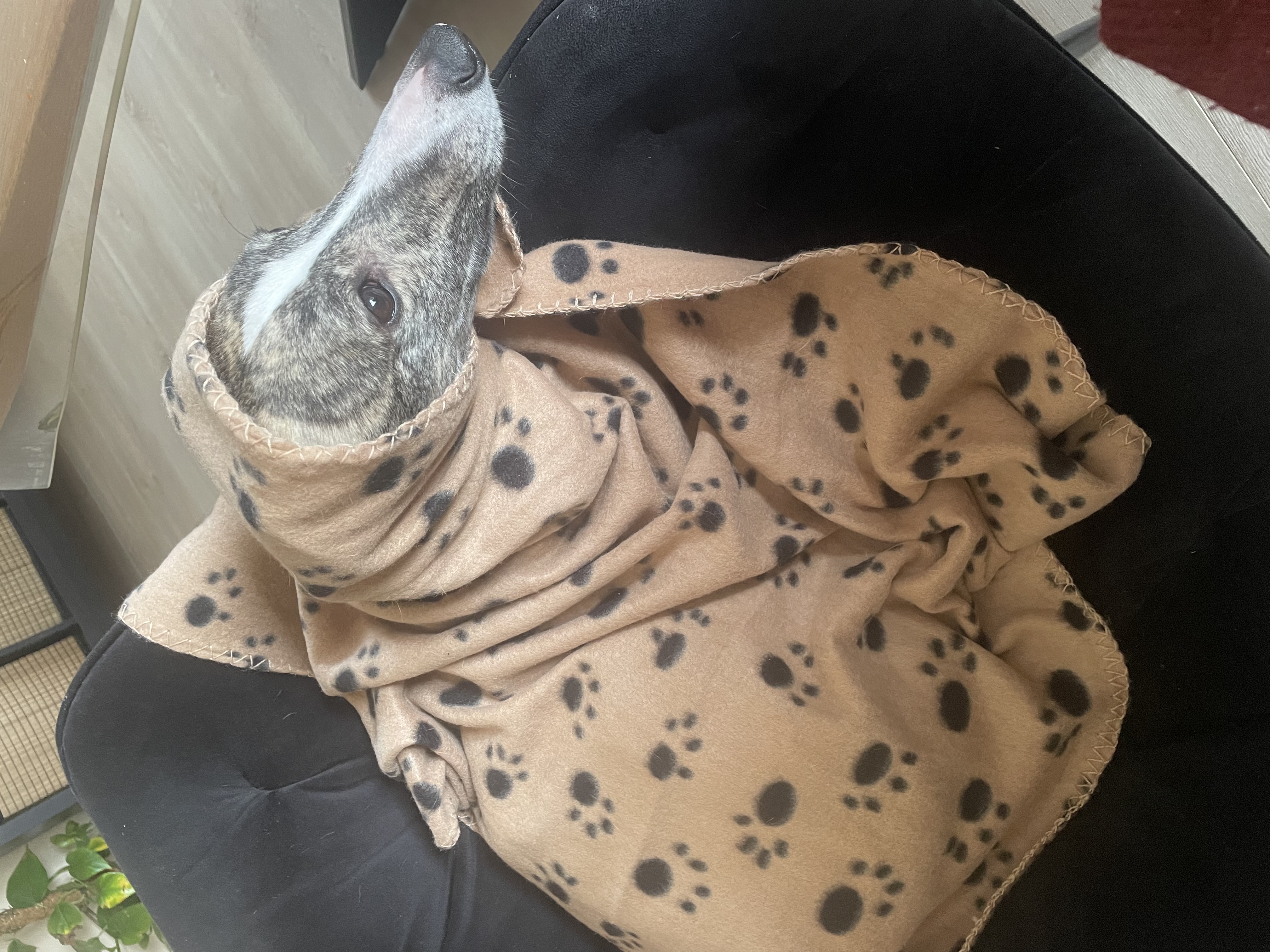 image-8