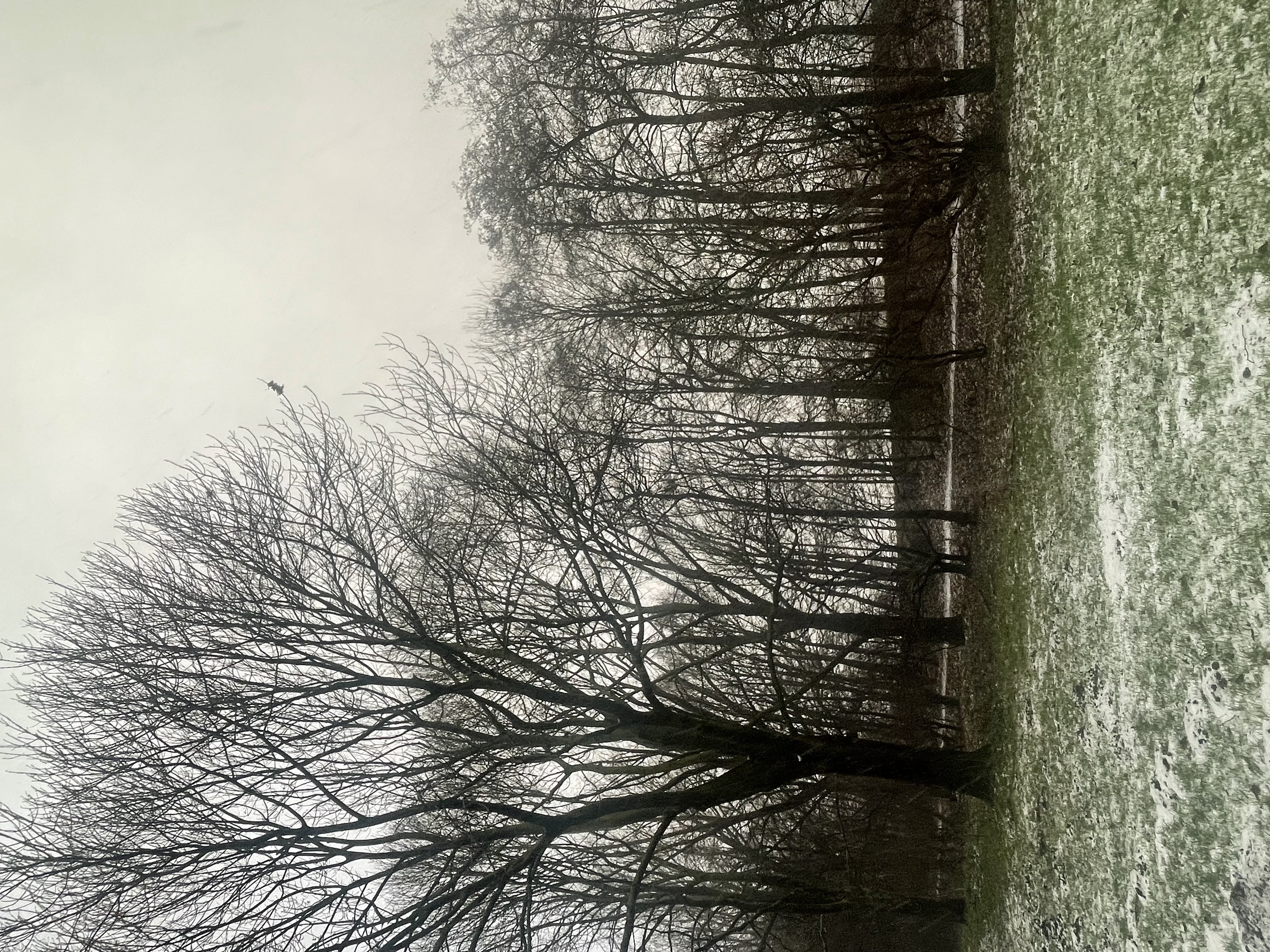 image-18
