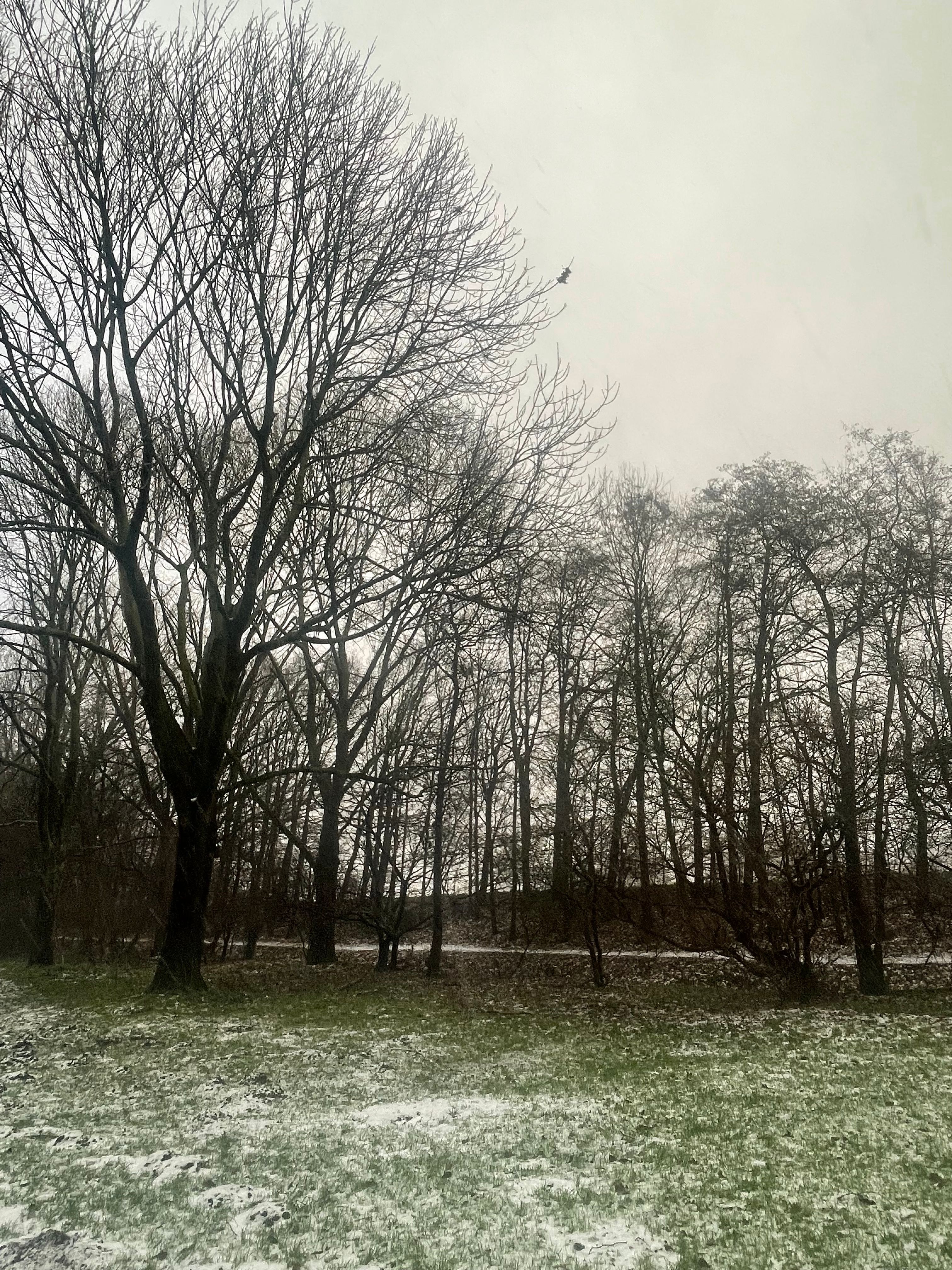image-18