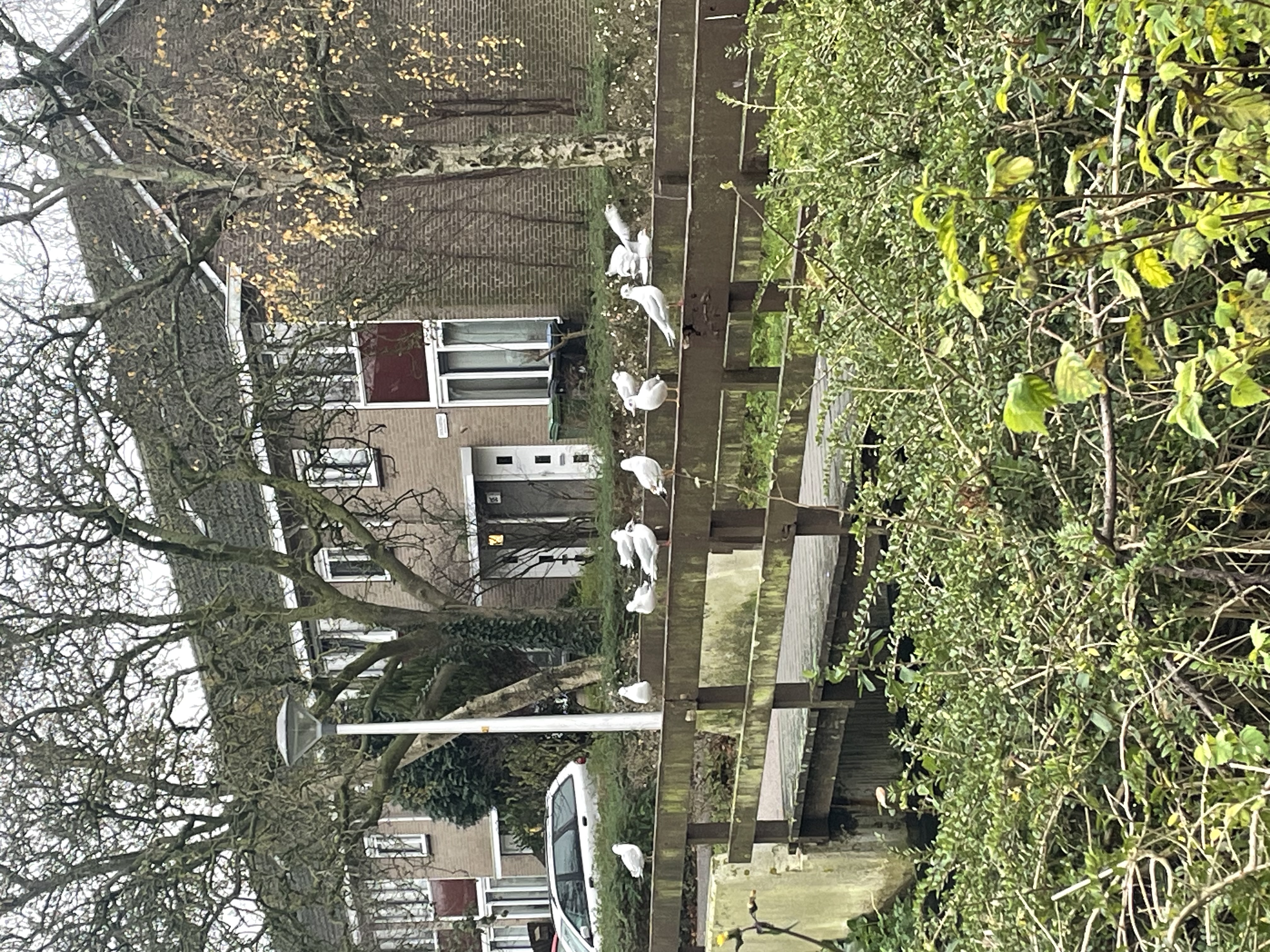 image-16